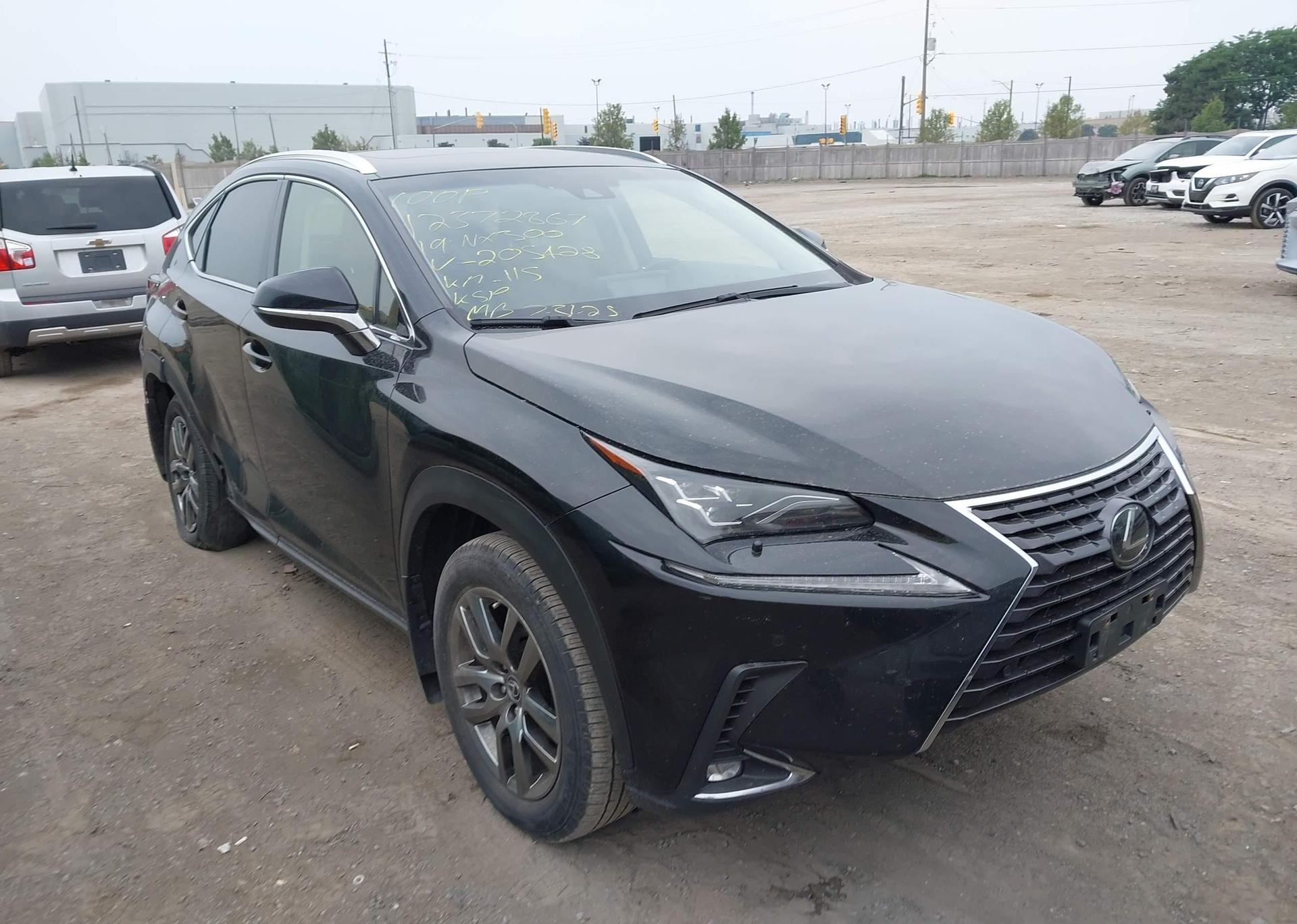 2019 LEXUS NX 300