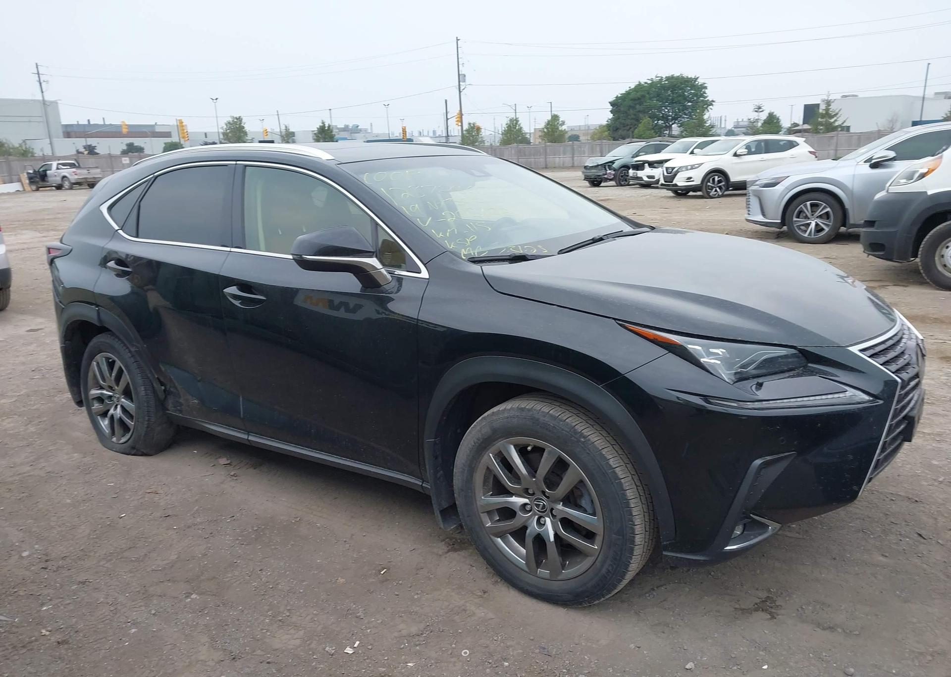 2019 LEXUS NX 300