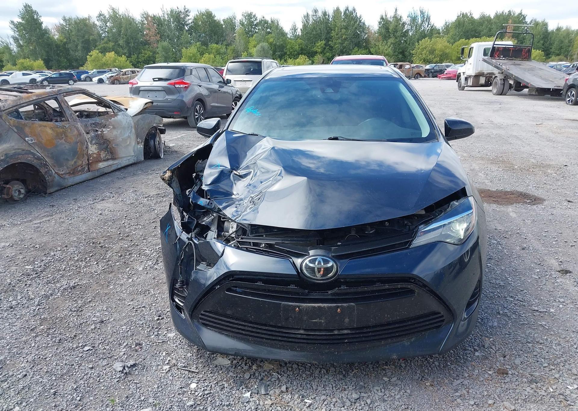 2019 TOYOTA COROLLA LE