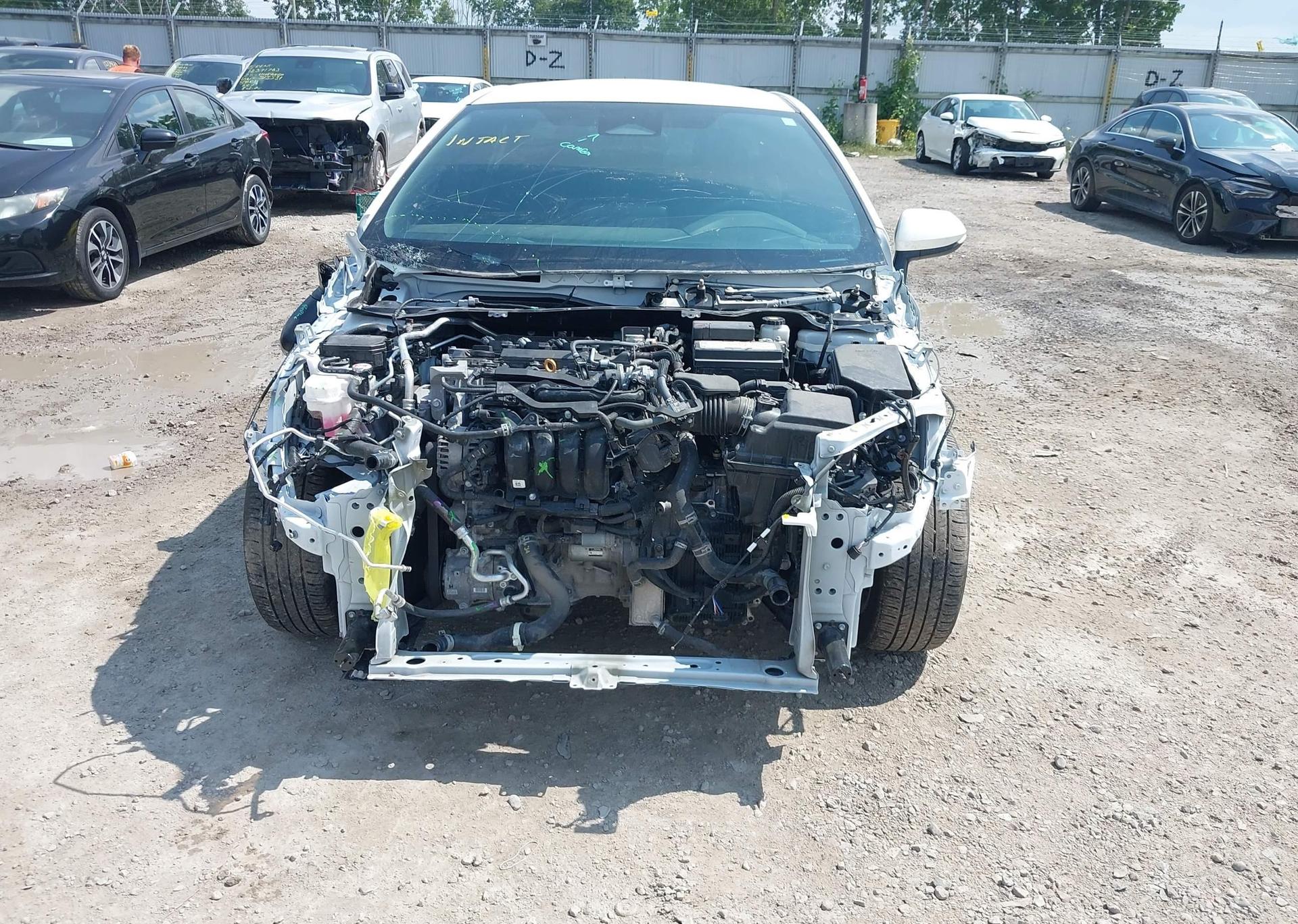 2025 TOYOTA COROLLA