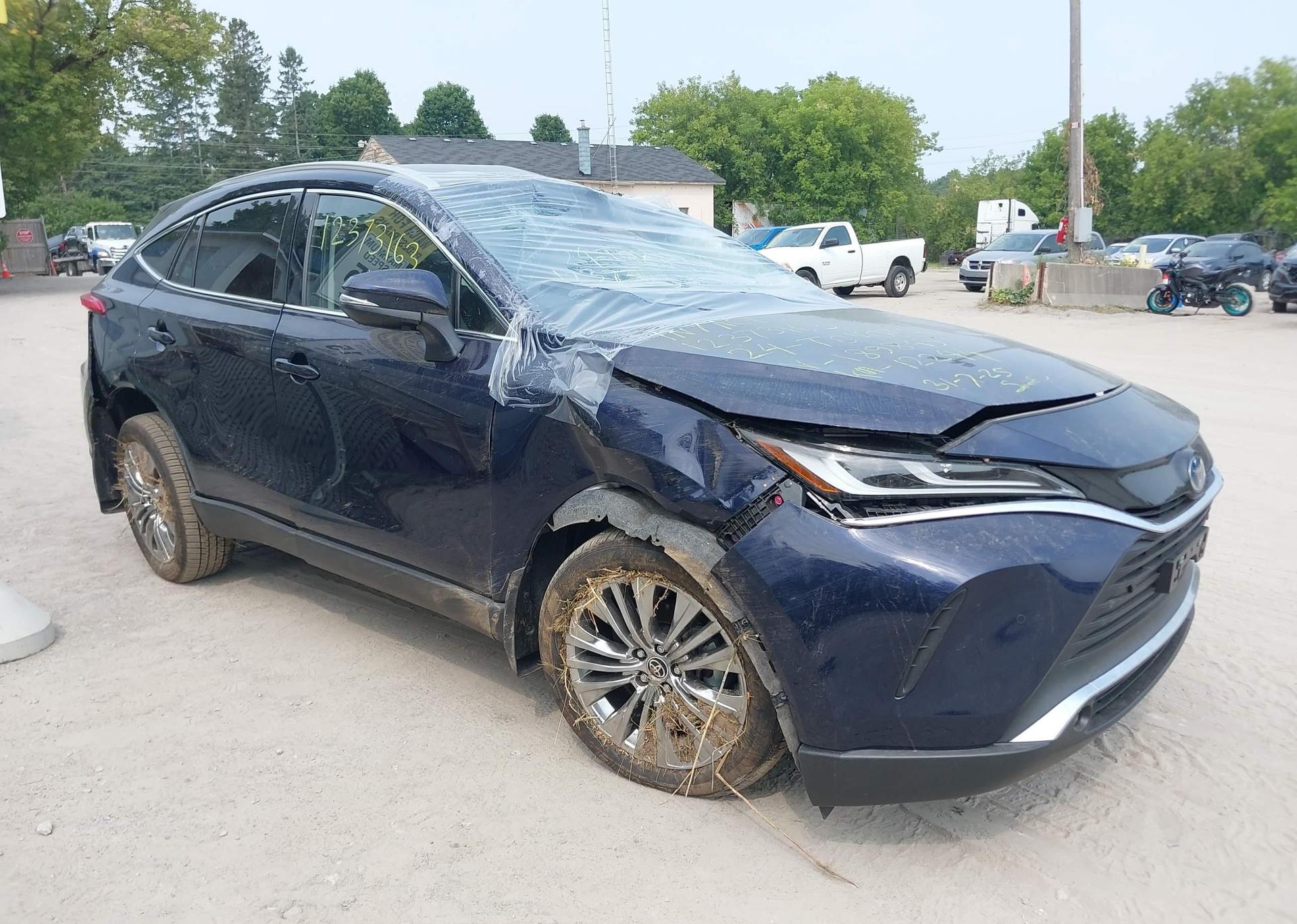 2024 TOYOTA VENZA