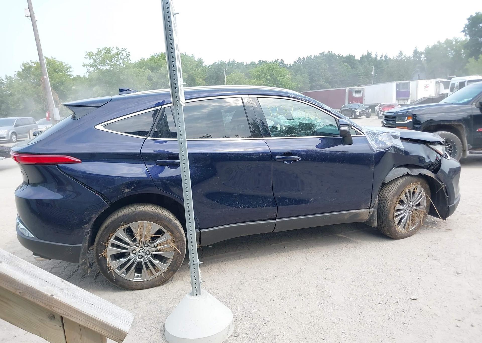 2024 TOYOTA VENZA