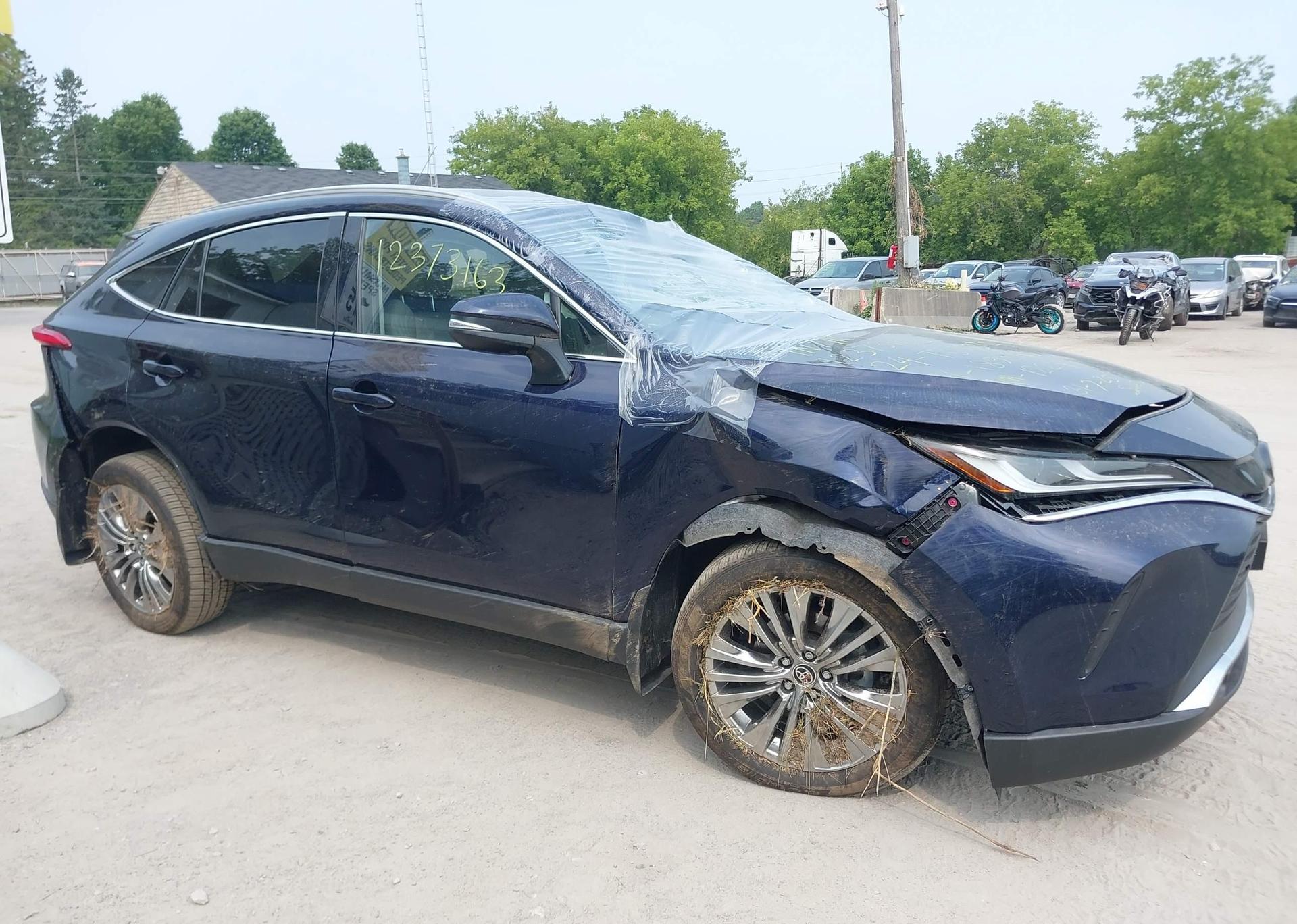 2024 TOYOTA VENZA