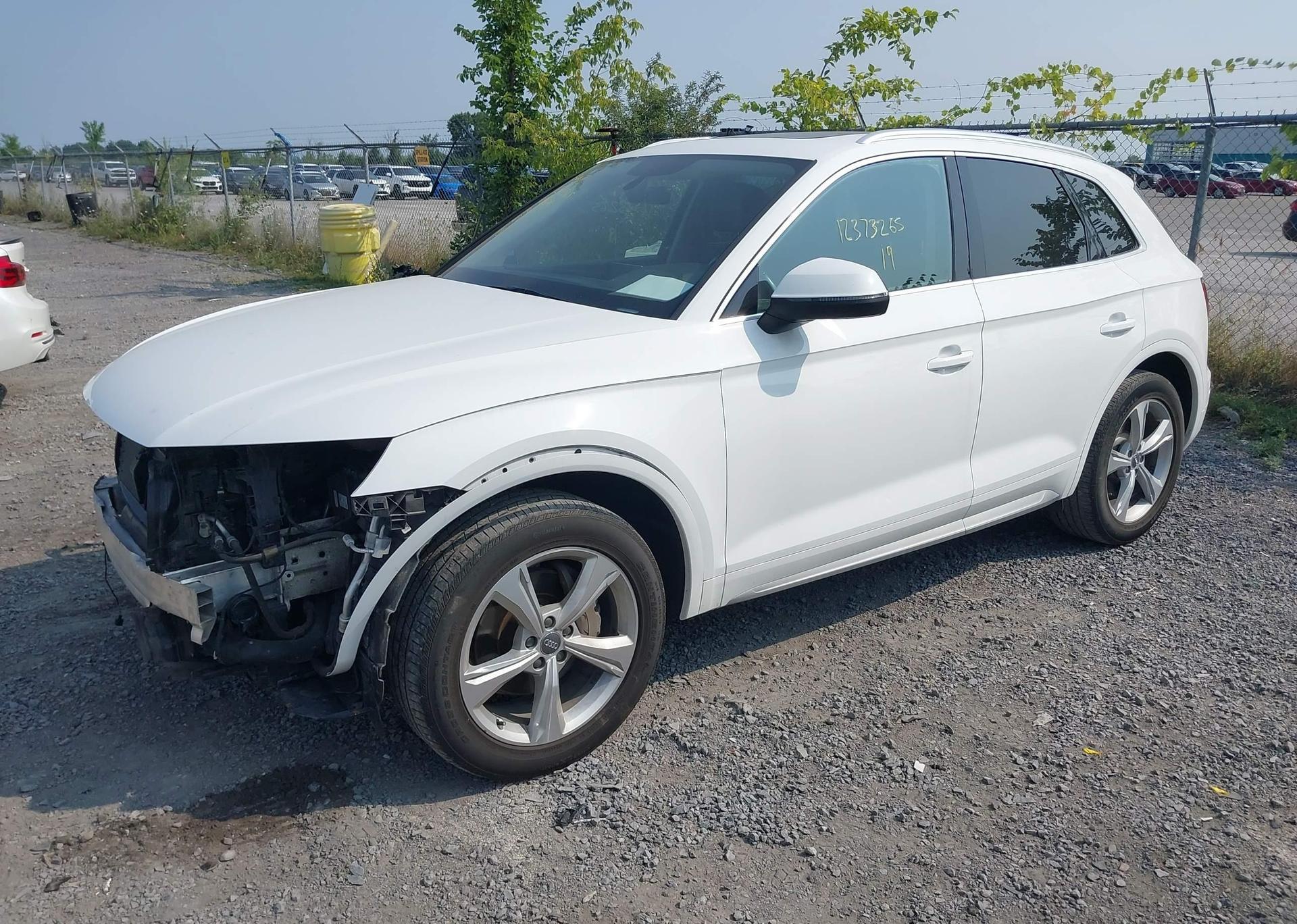 2019 AUDI Q5 45 PROGRESSIV