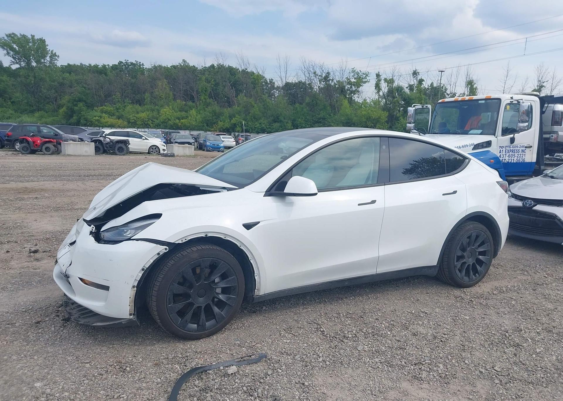 2021 TESLA MODEL Y