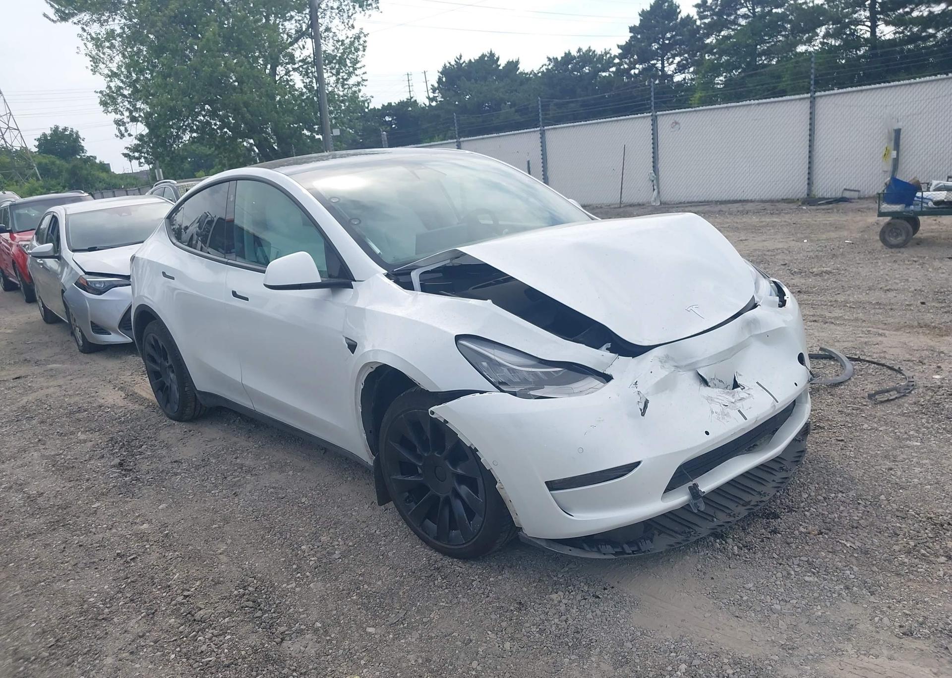 2021 TESLA MODEL Y