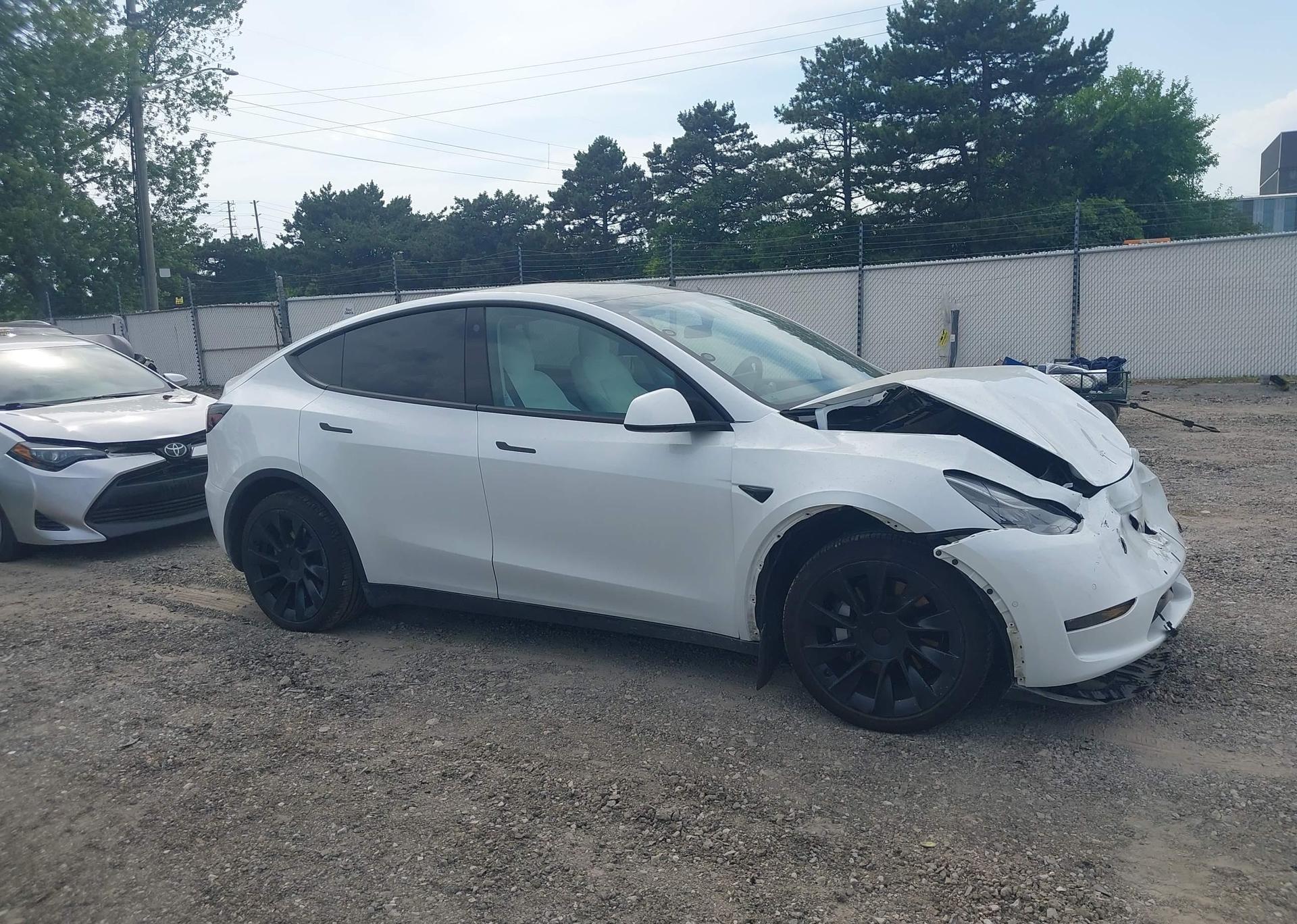 2021 TESLA MODEL Y