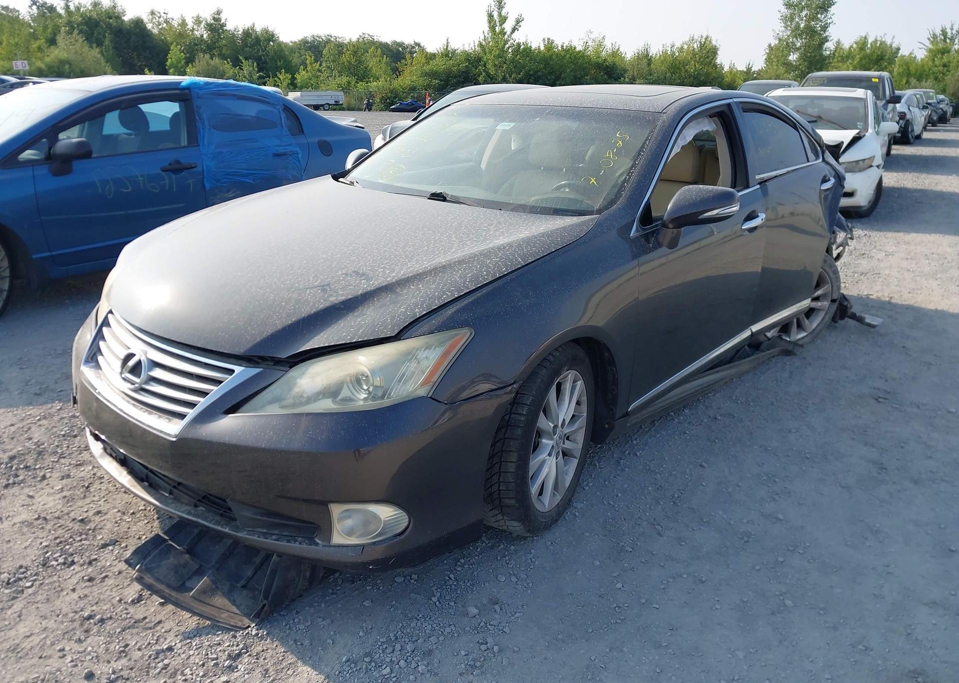 2010 LEXUS ES350