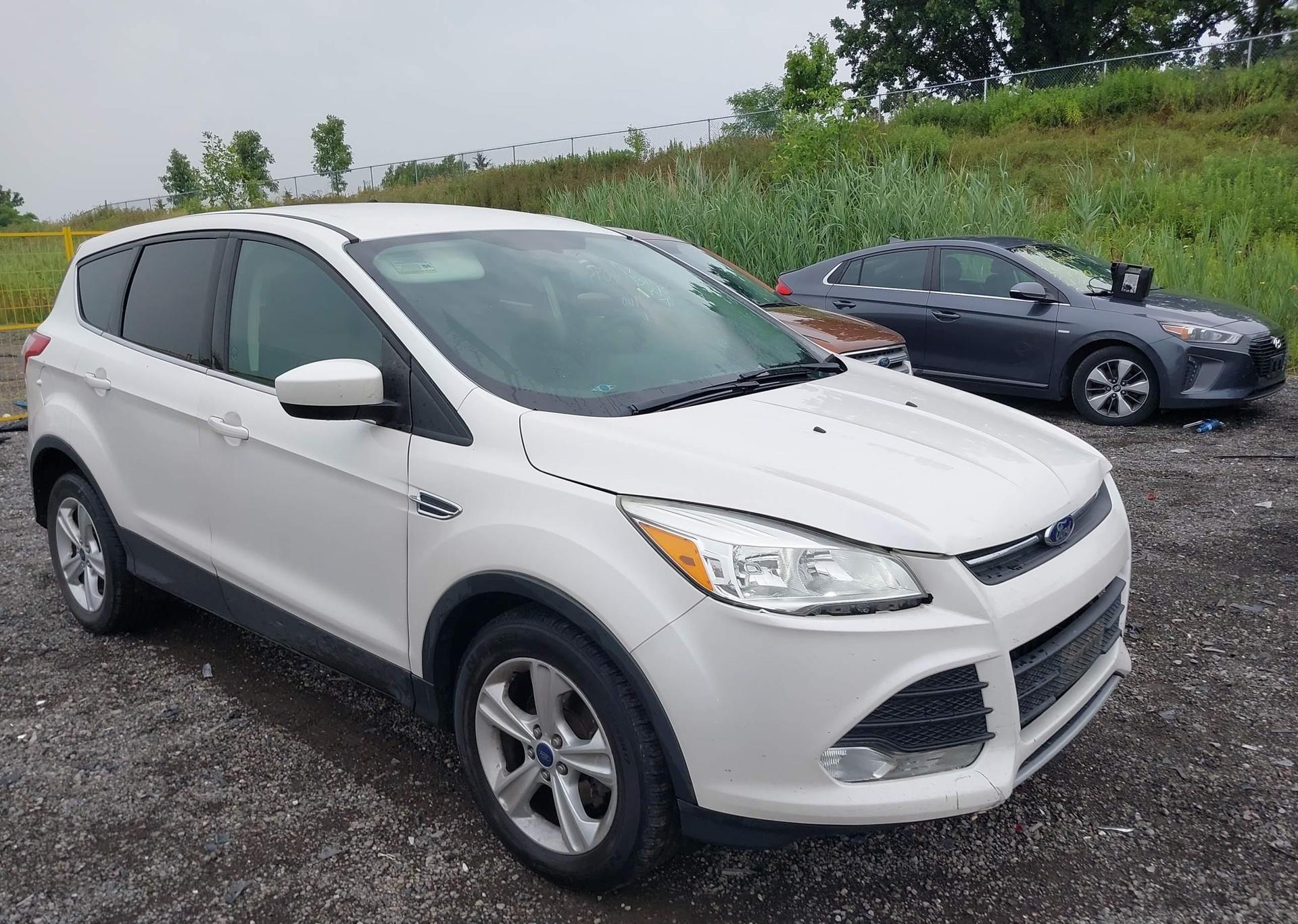 2014 FORD ESCAPE SE