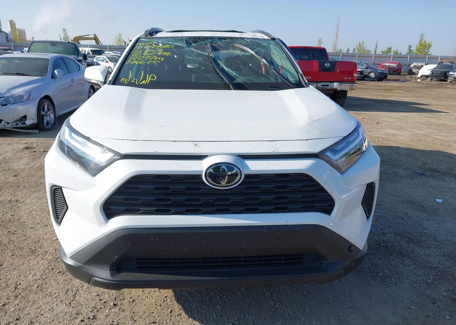 2024 TOYOTA RAV4 XLE