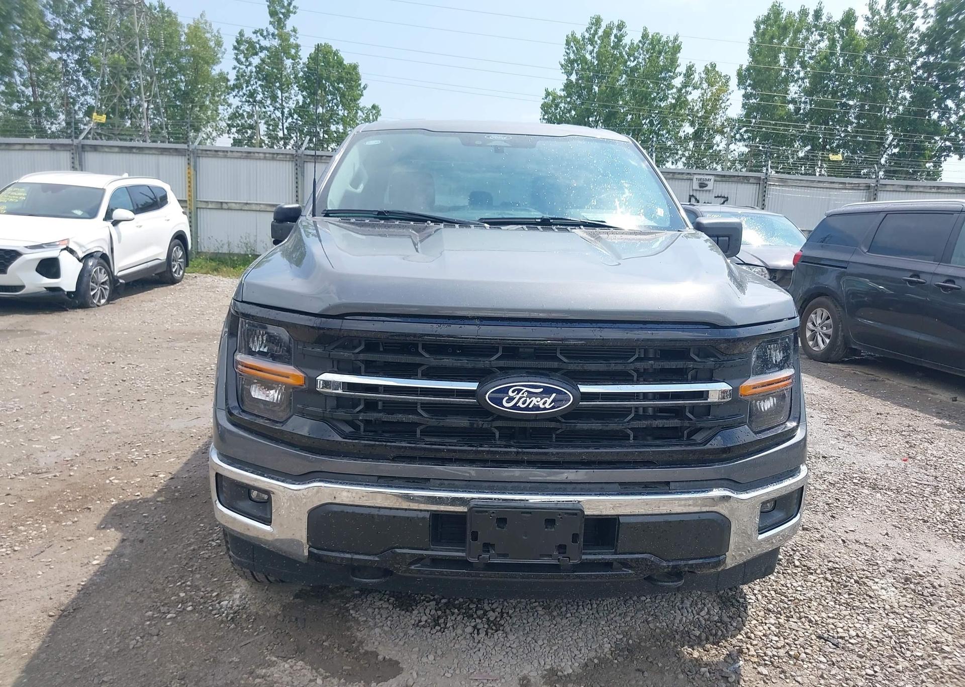 2025 FORD F150 XLT