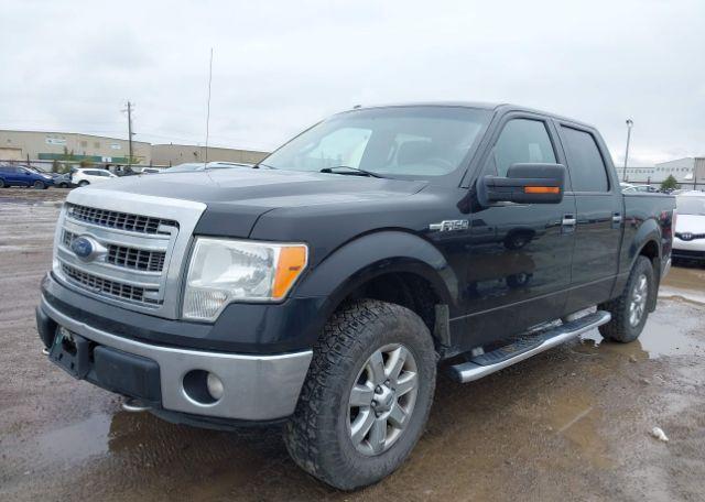 2014 FORD F-150 XLT