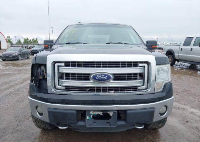2014 FORD F-150 XLT
