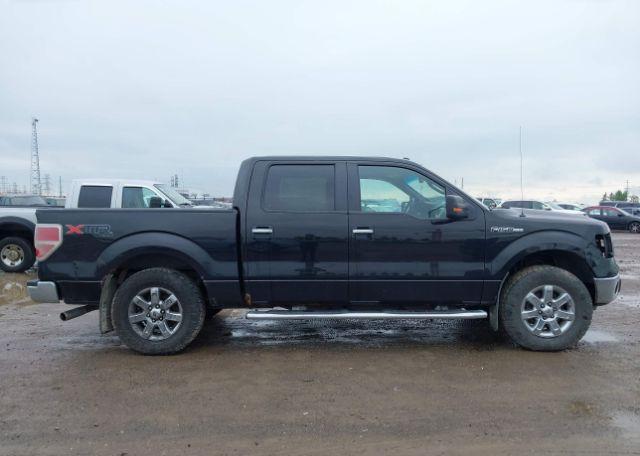2014 FORD F-150 XLT