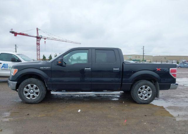 2014 FORD F-150 XLT