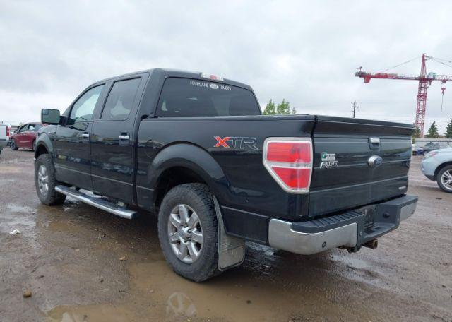 2014 FORD F-150 XLT