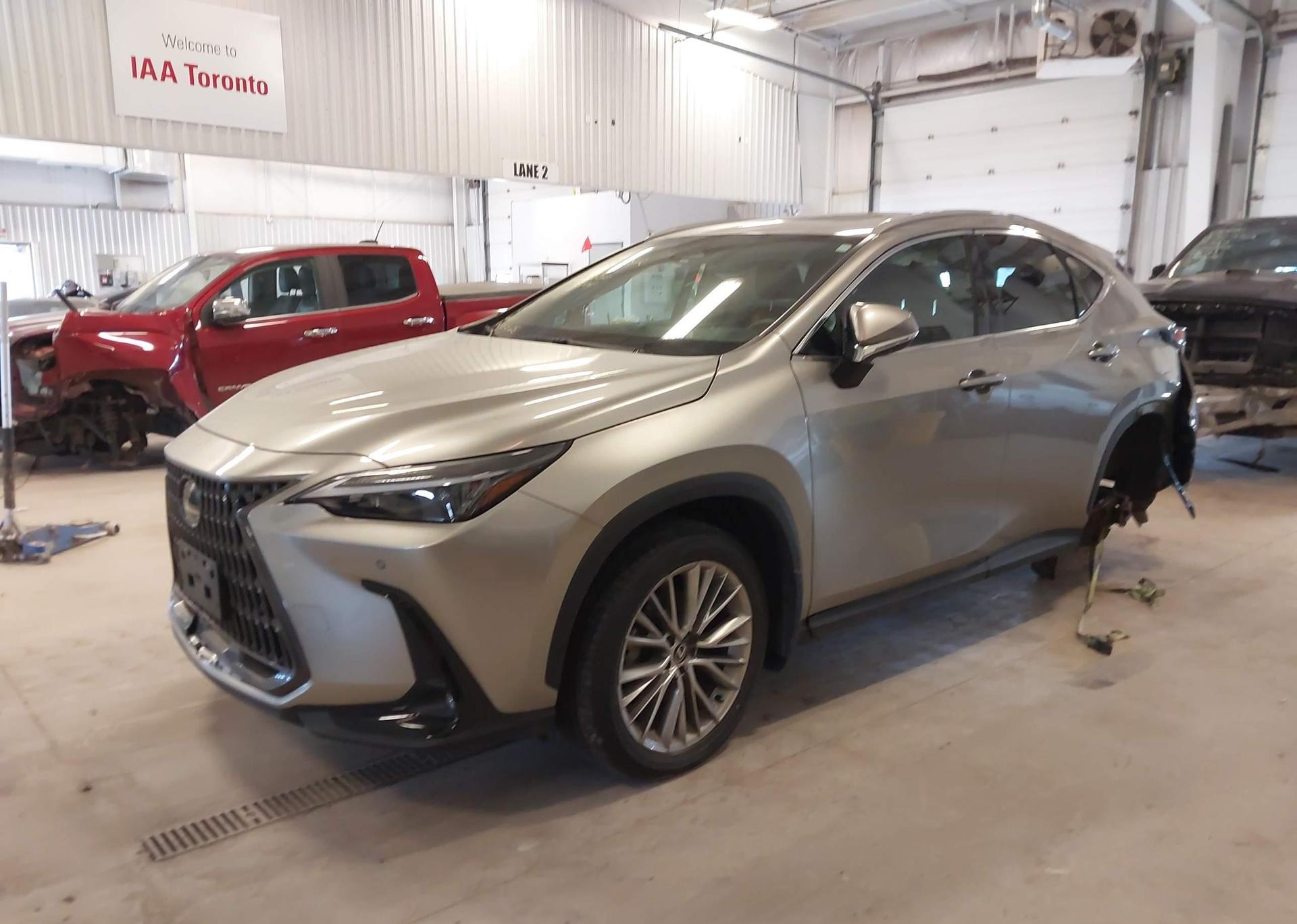 2024 LEXUS NX 350 PREMIUM