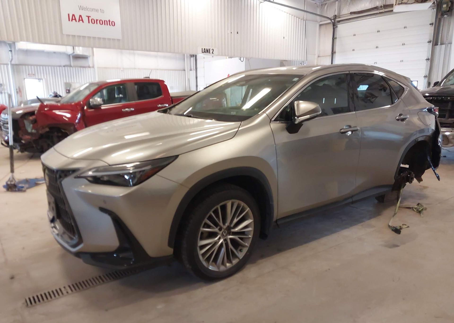 2024 LEXUS NX 350 PREMIUM
