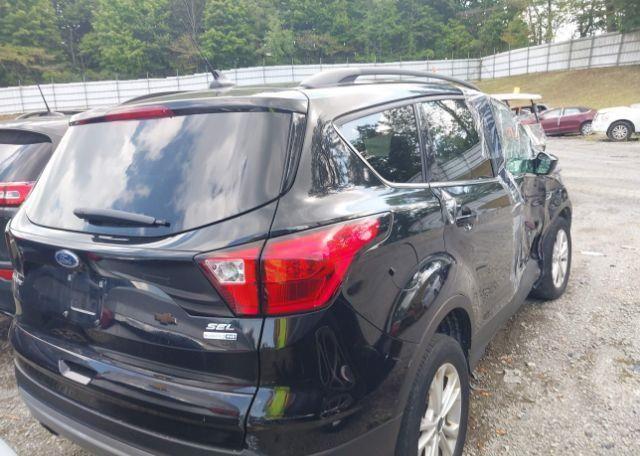 2019 FORD ESCAPE SEL