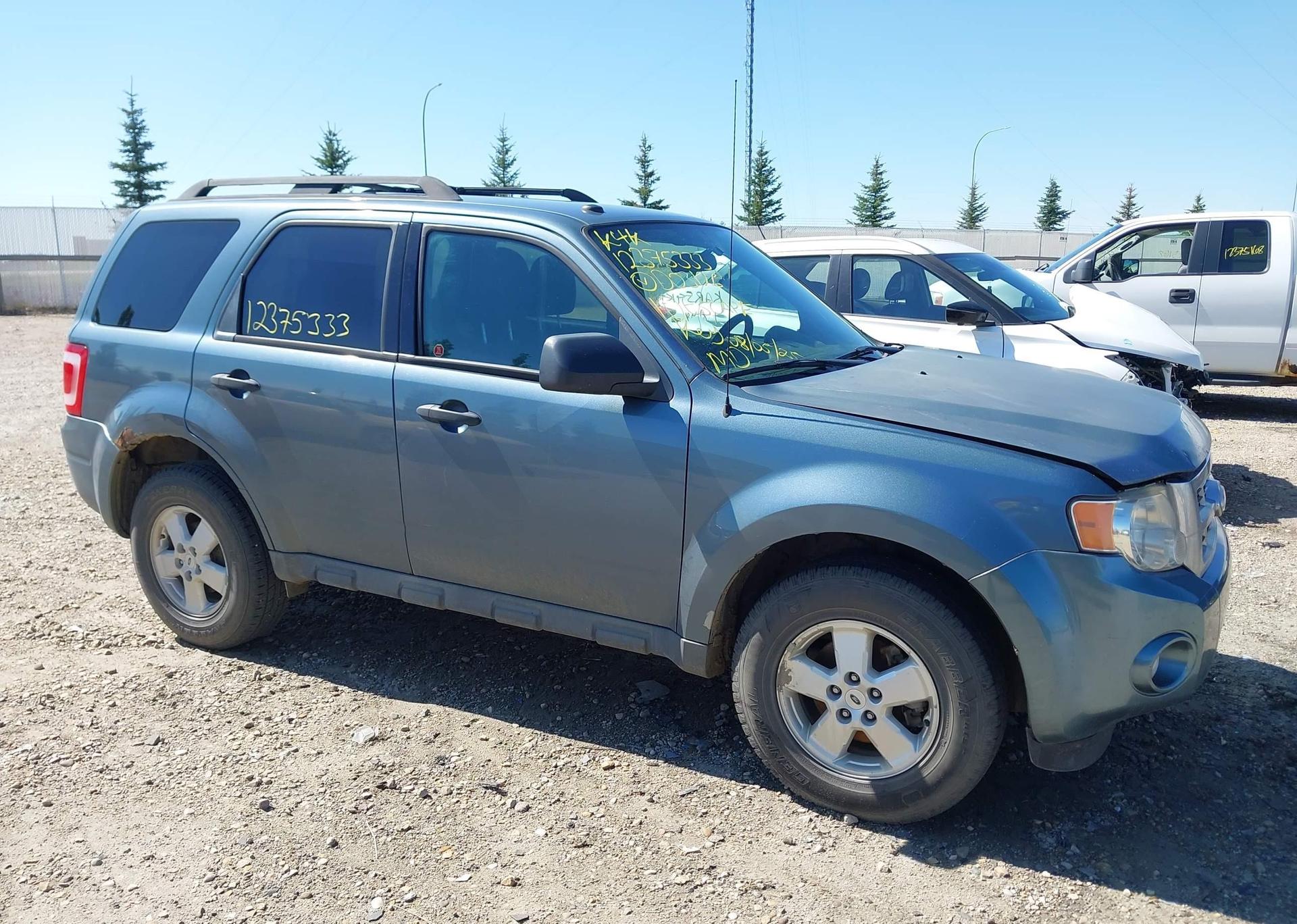 2010 FORD ESCAPE XLT