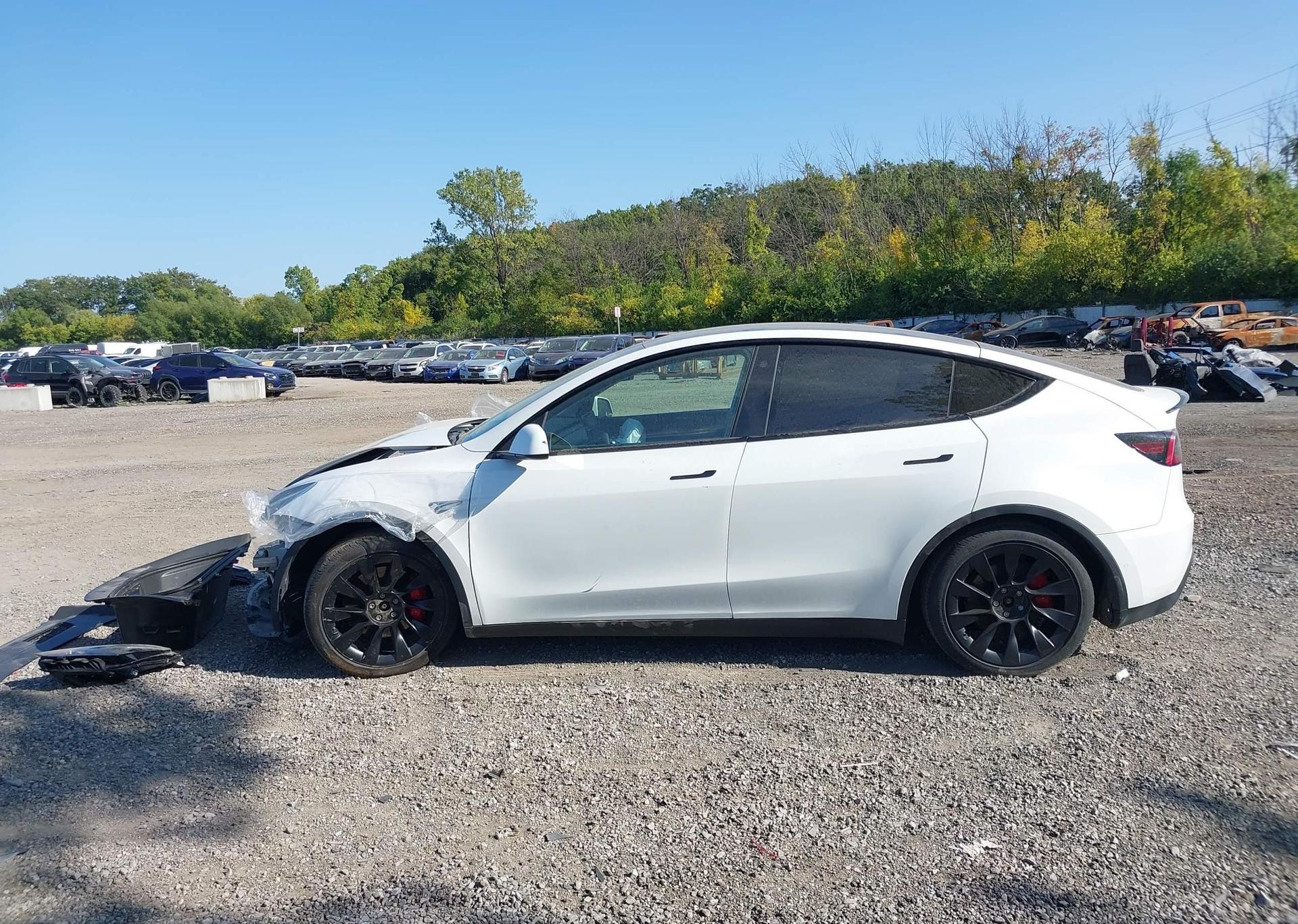 2021 TESLA MODEL Y