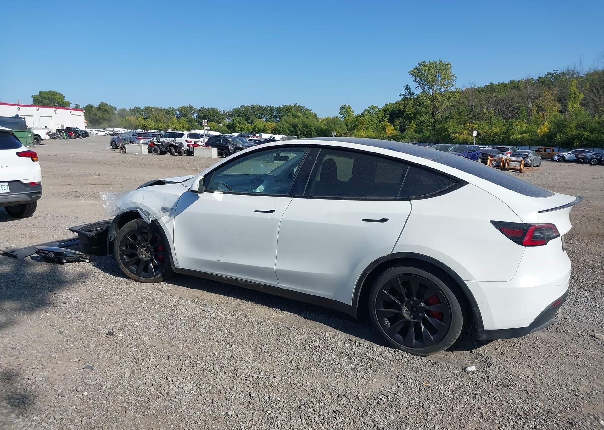 2021 TESLA MODEL Y