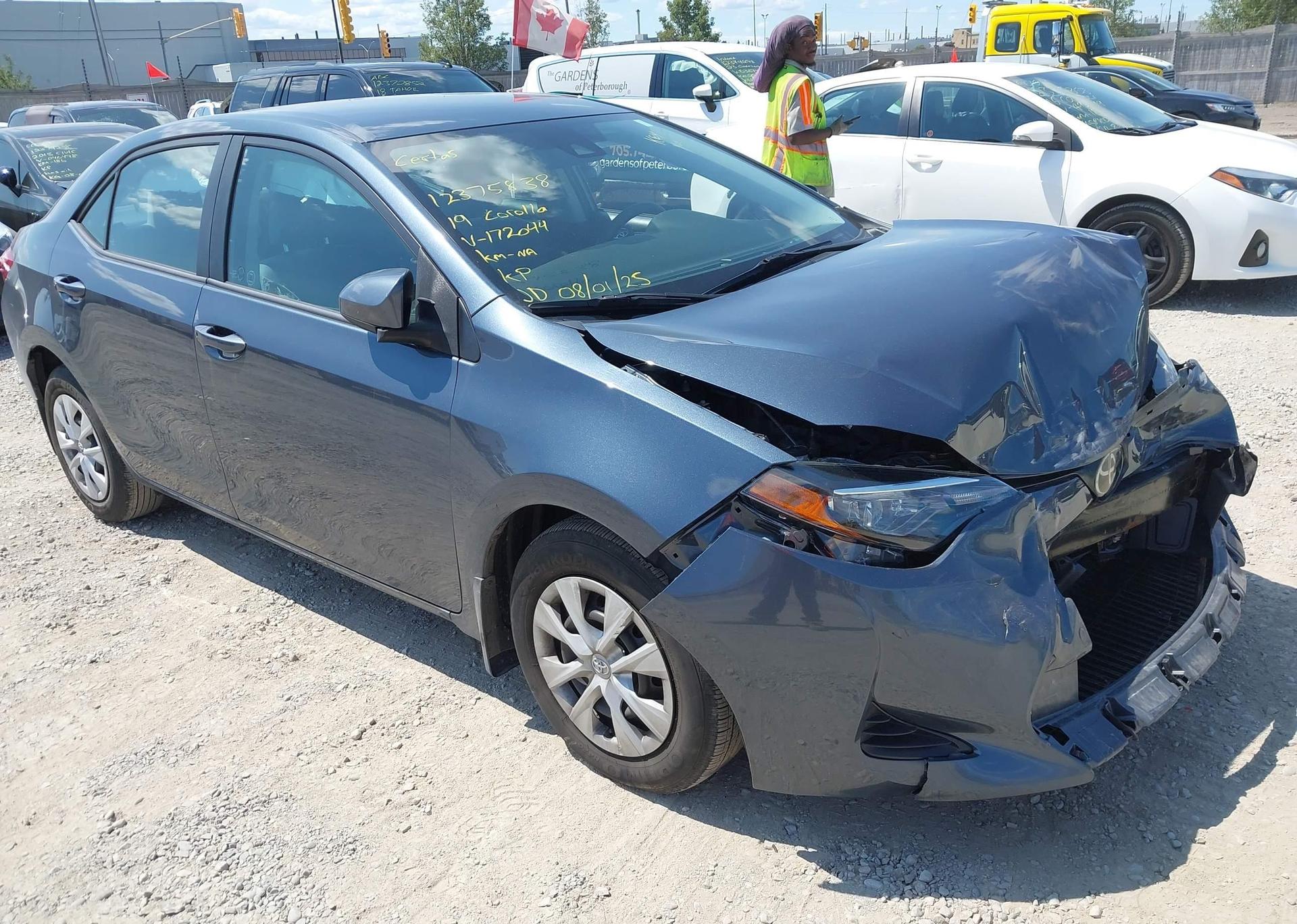 2019 TOYOTA COROLLA L