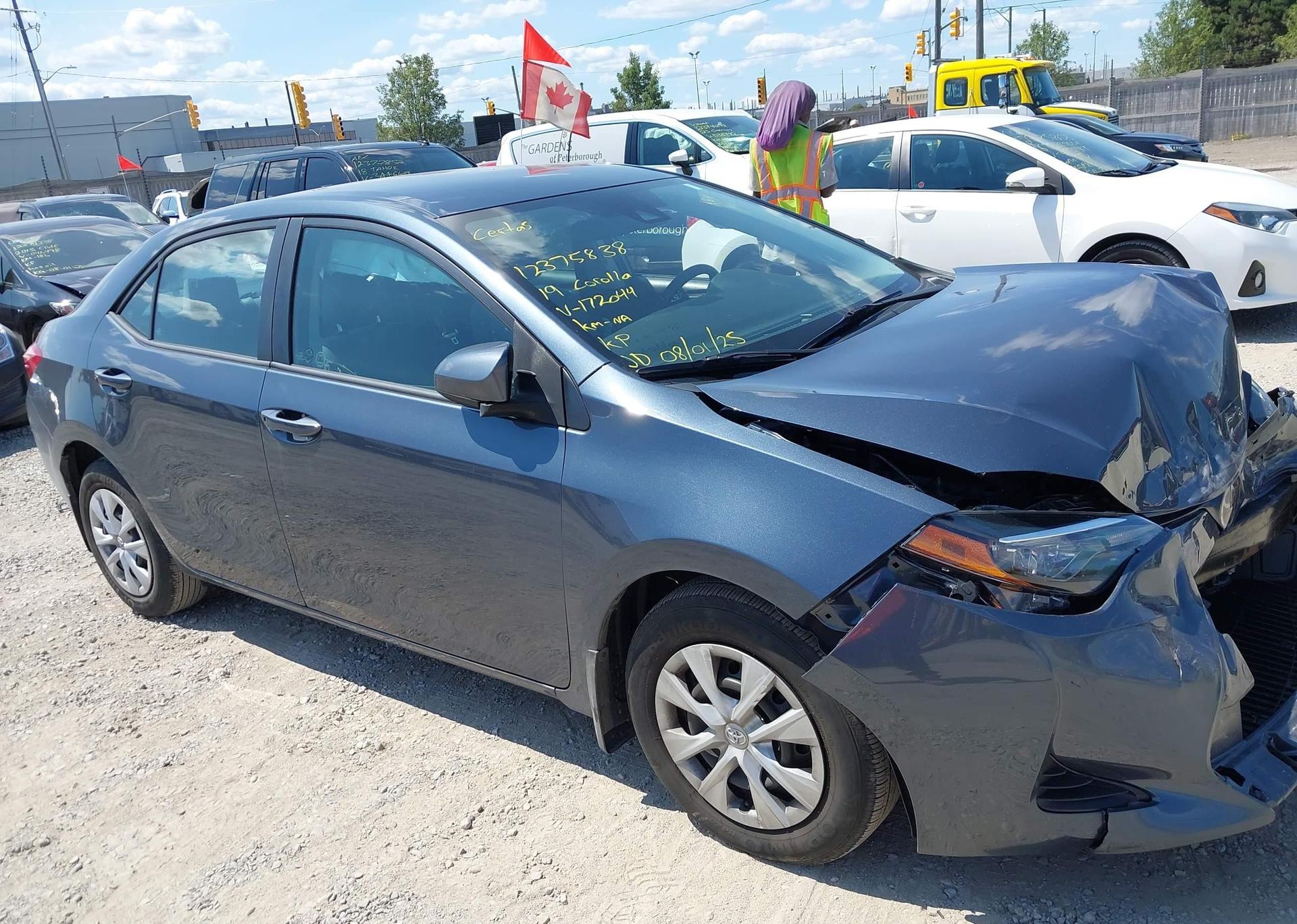 2019 TOYOTA COROLLA L