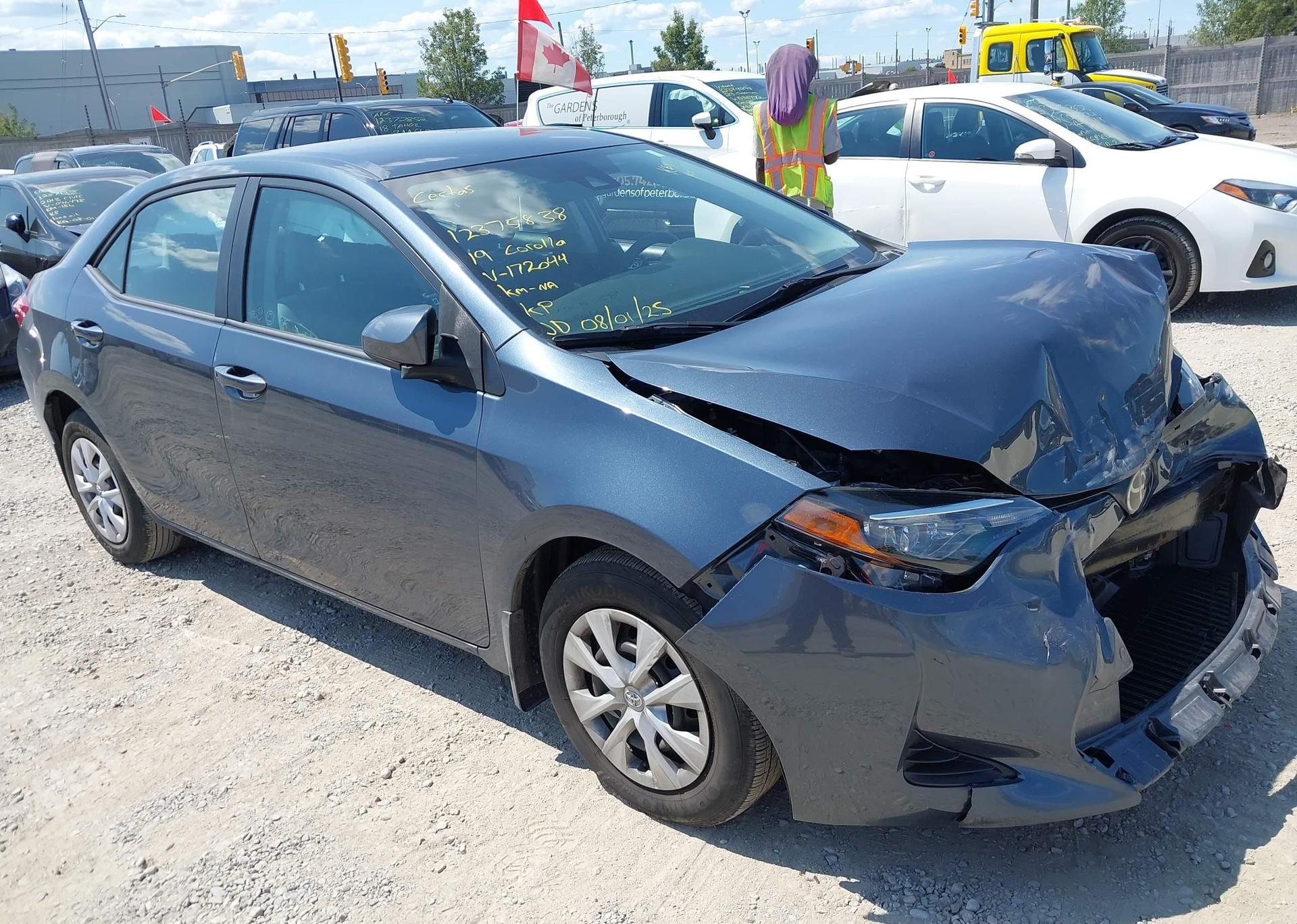 2019 TOYOTA COROLLA L