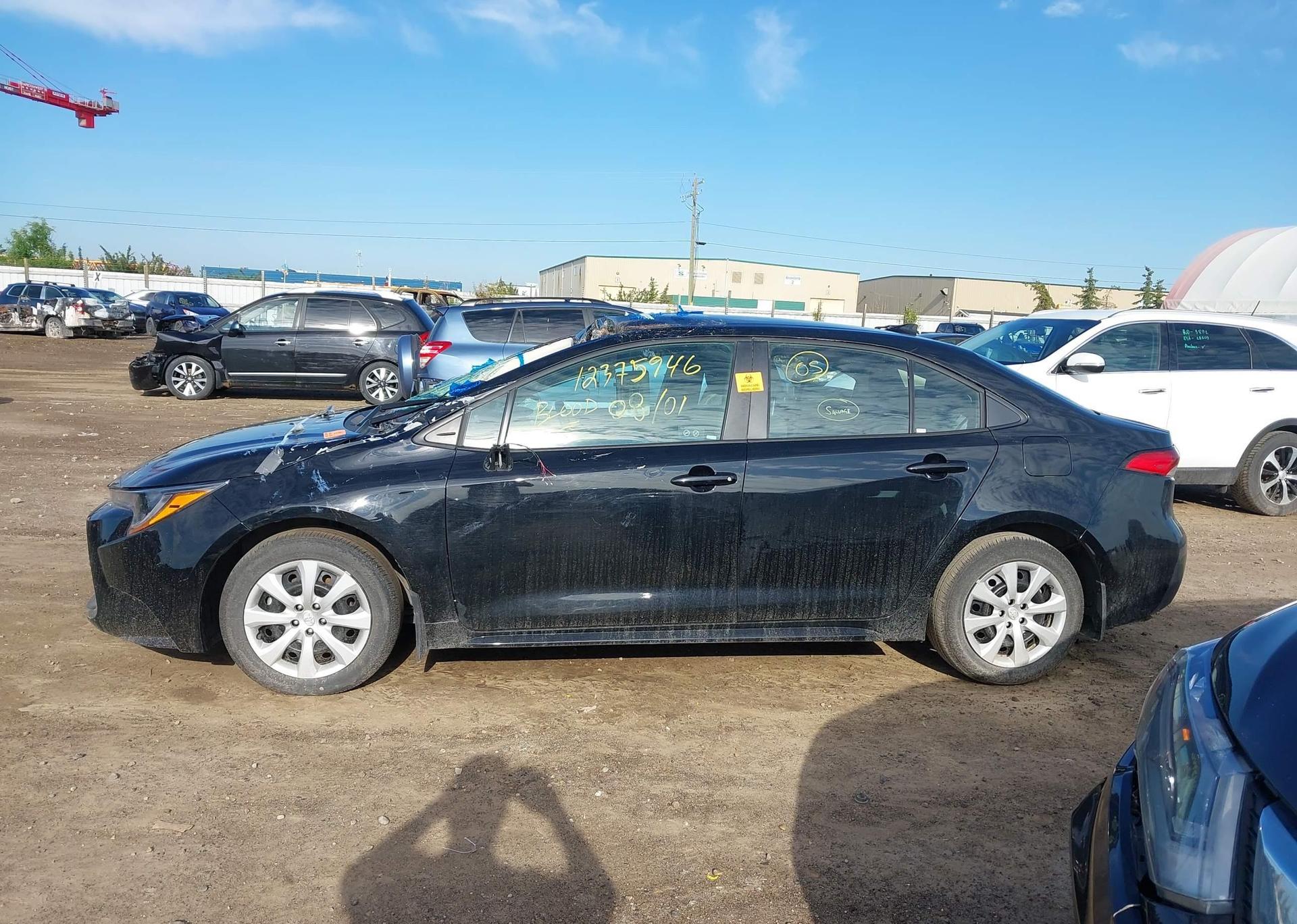 2024 TOYOTA COROLLA LE