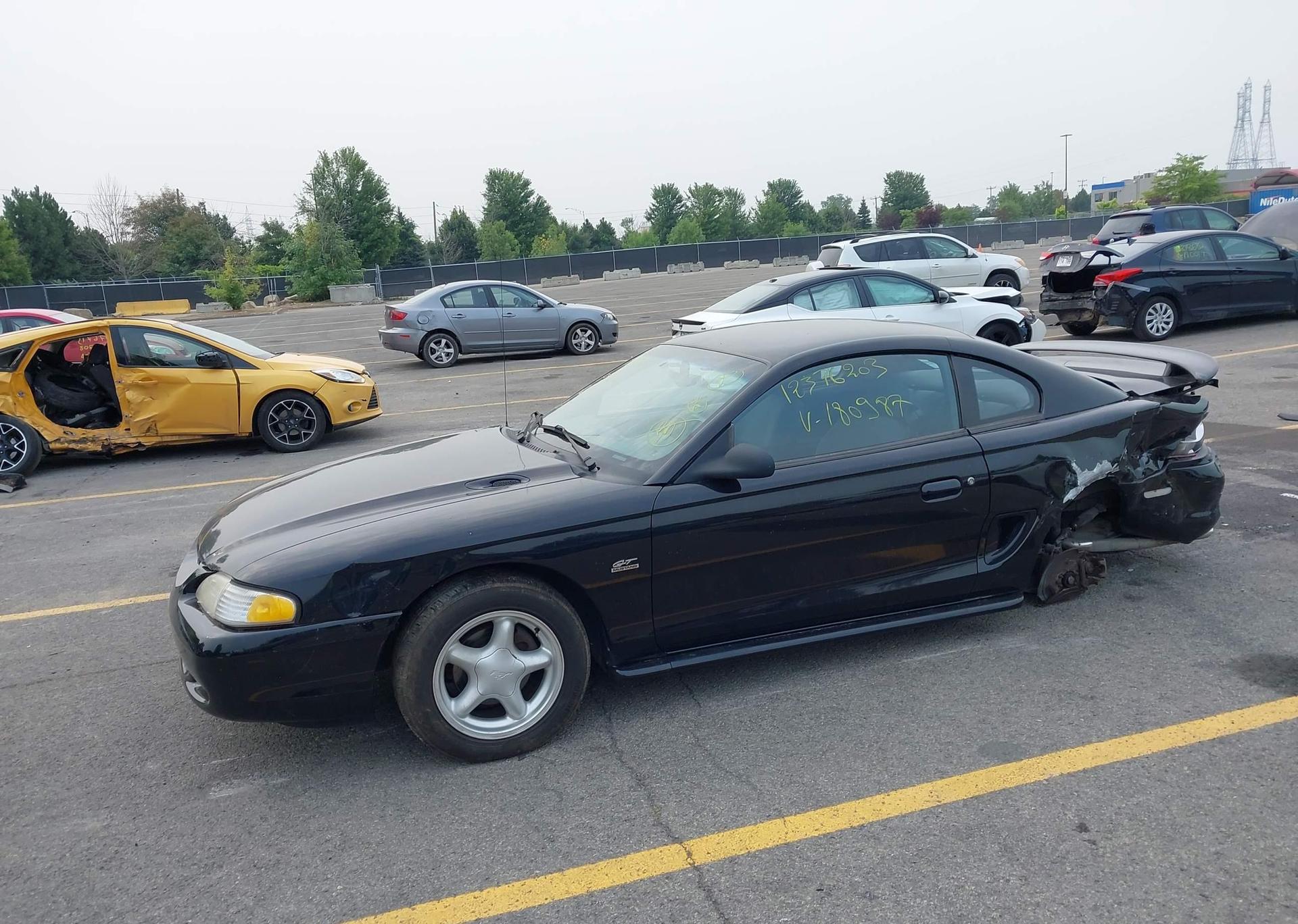 2024 FORD MUSTANG