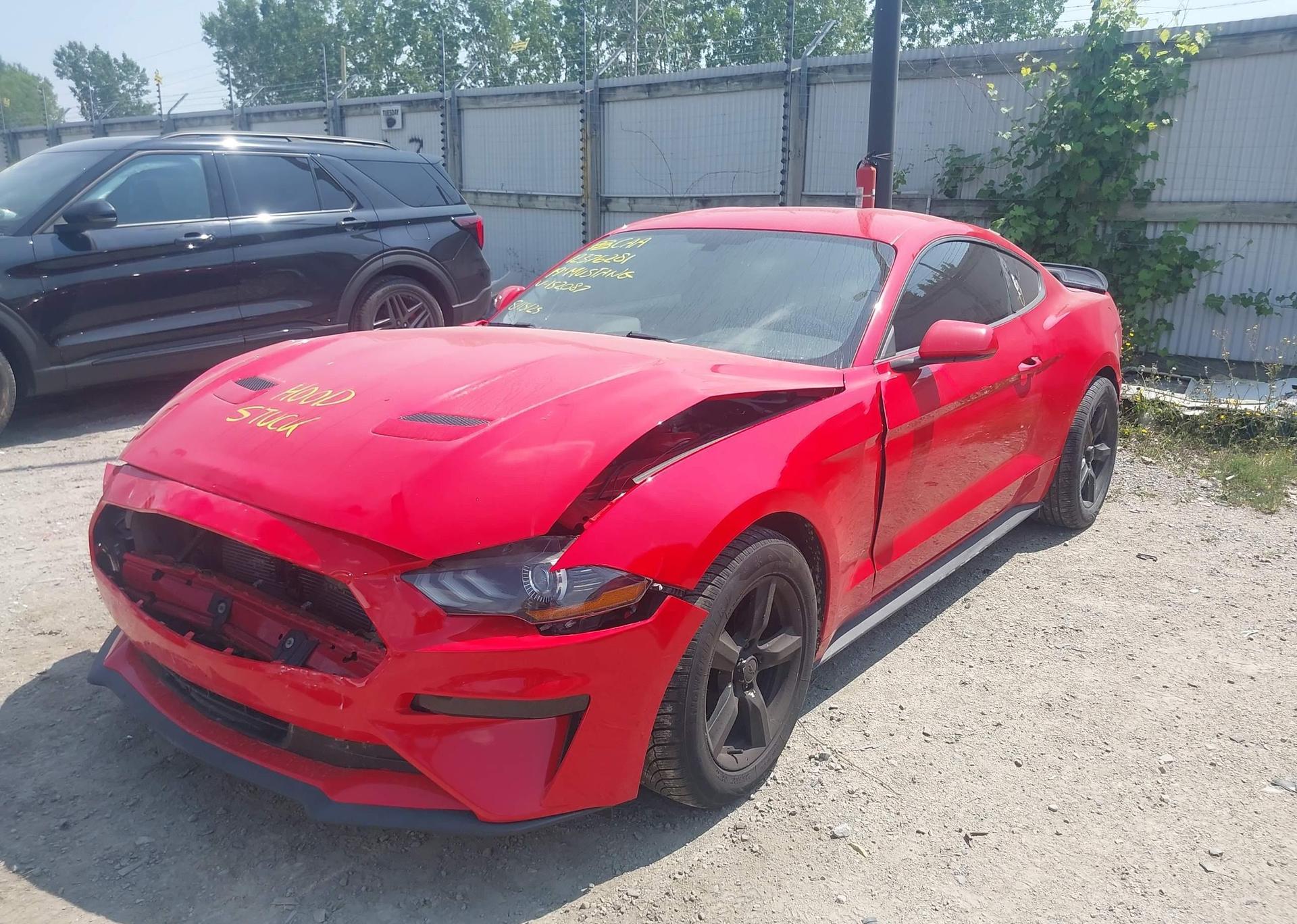 2019 FORD MUSTANG