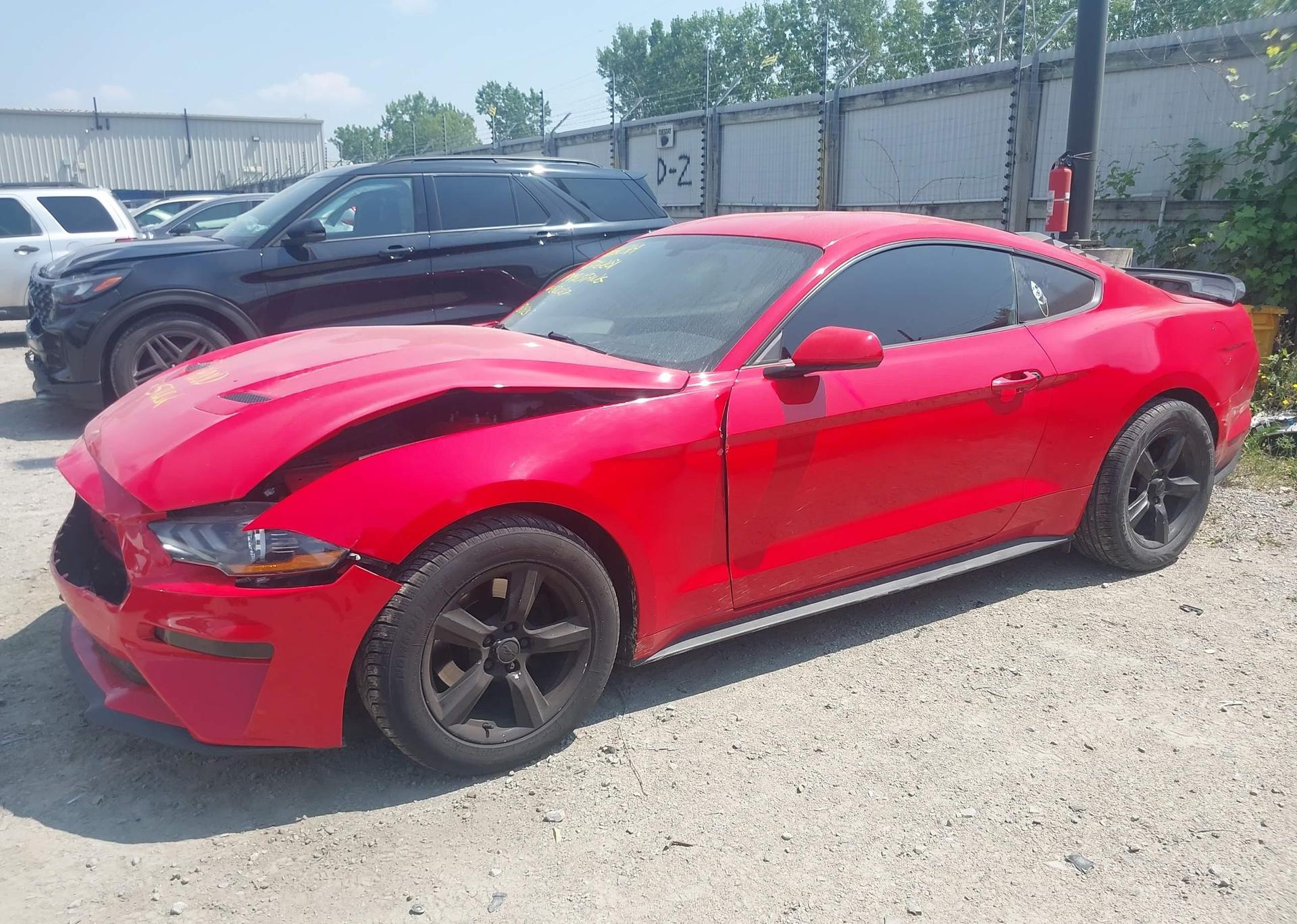 2019 FORD MUSTANG