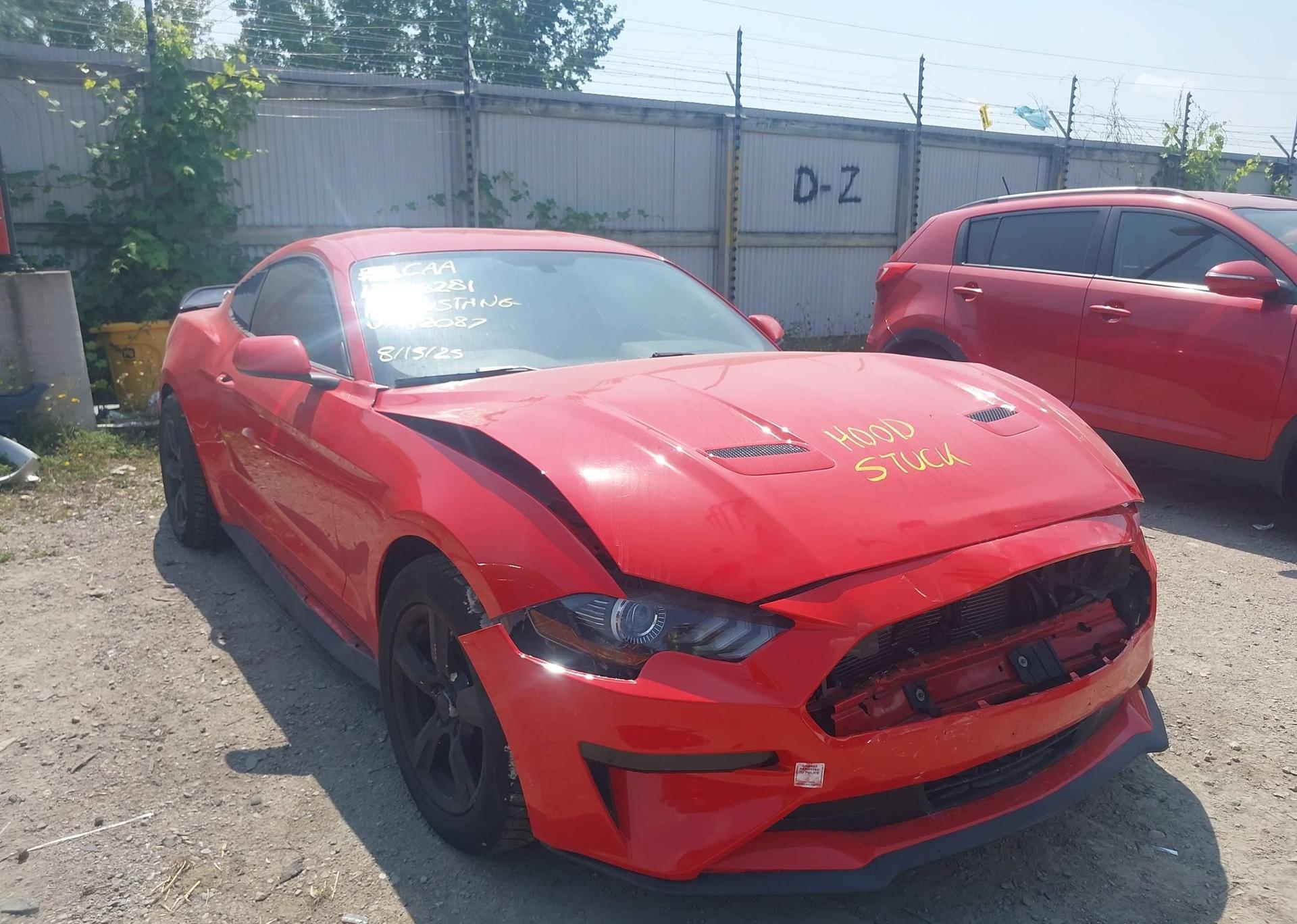 2019 FORD MUSTANG