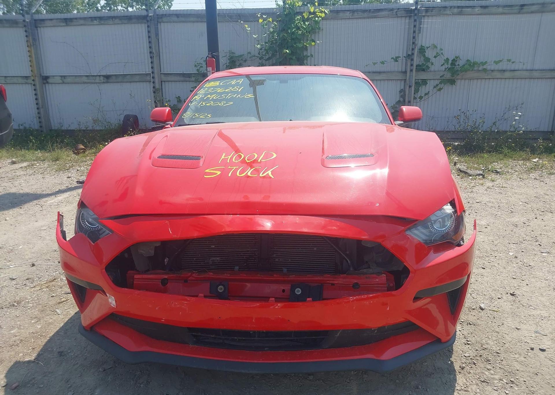 2019 FORD MUSTANG