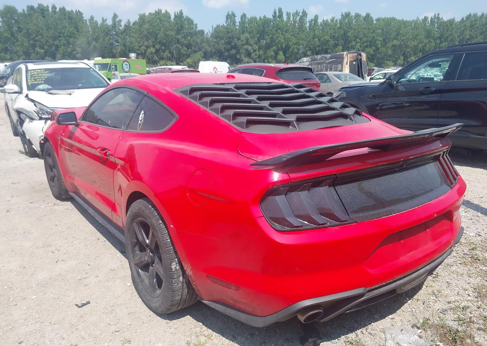 2019 FORD MUSTANG