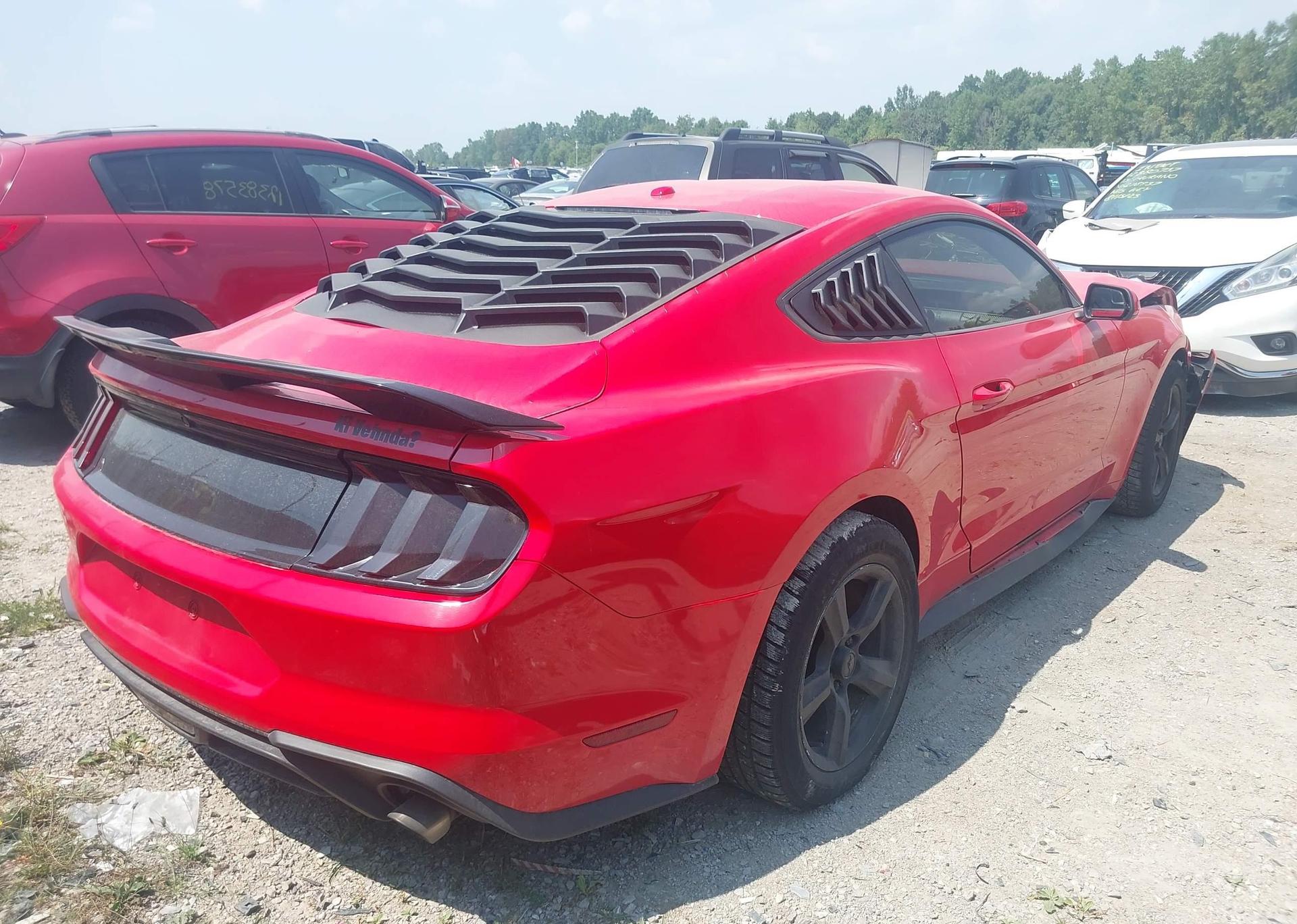 2019 FORD MUSTANG