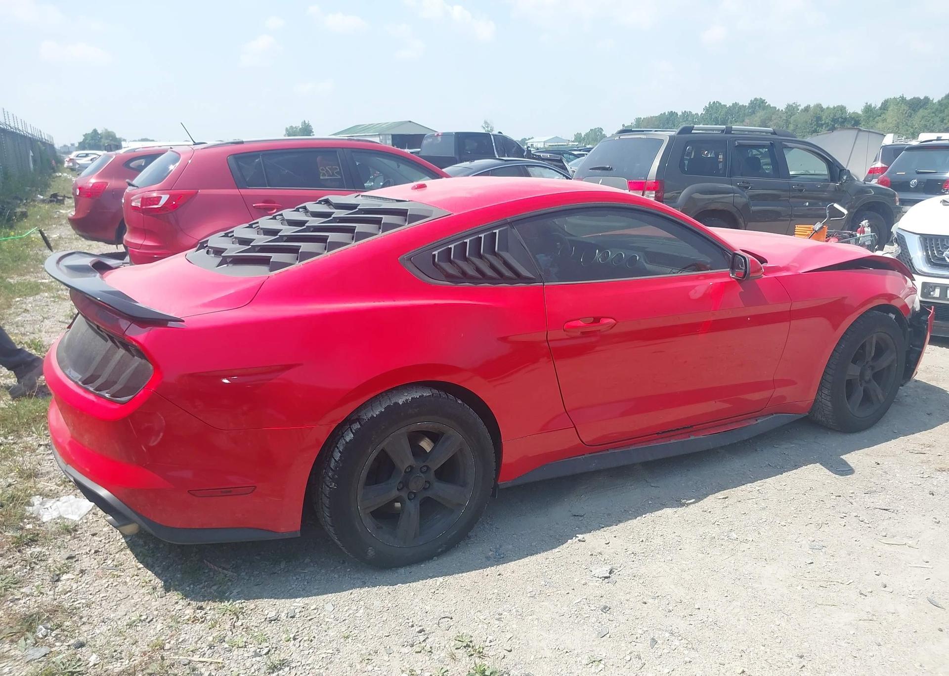 2019 FORD MUSTANG