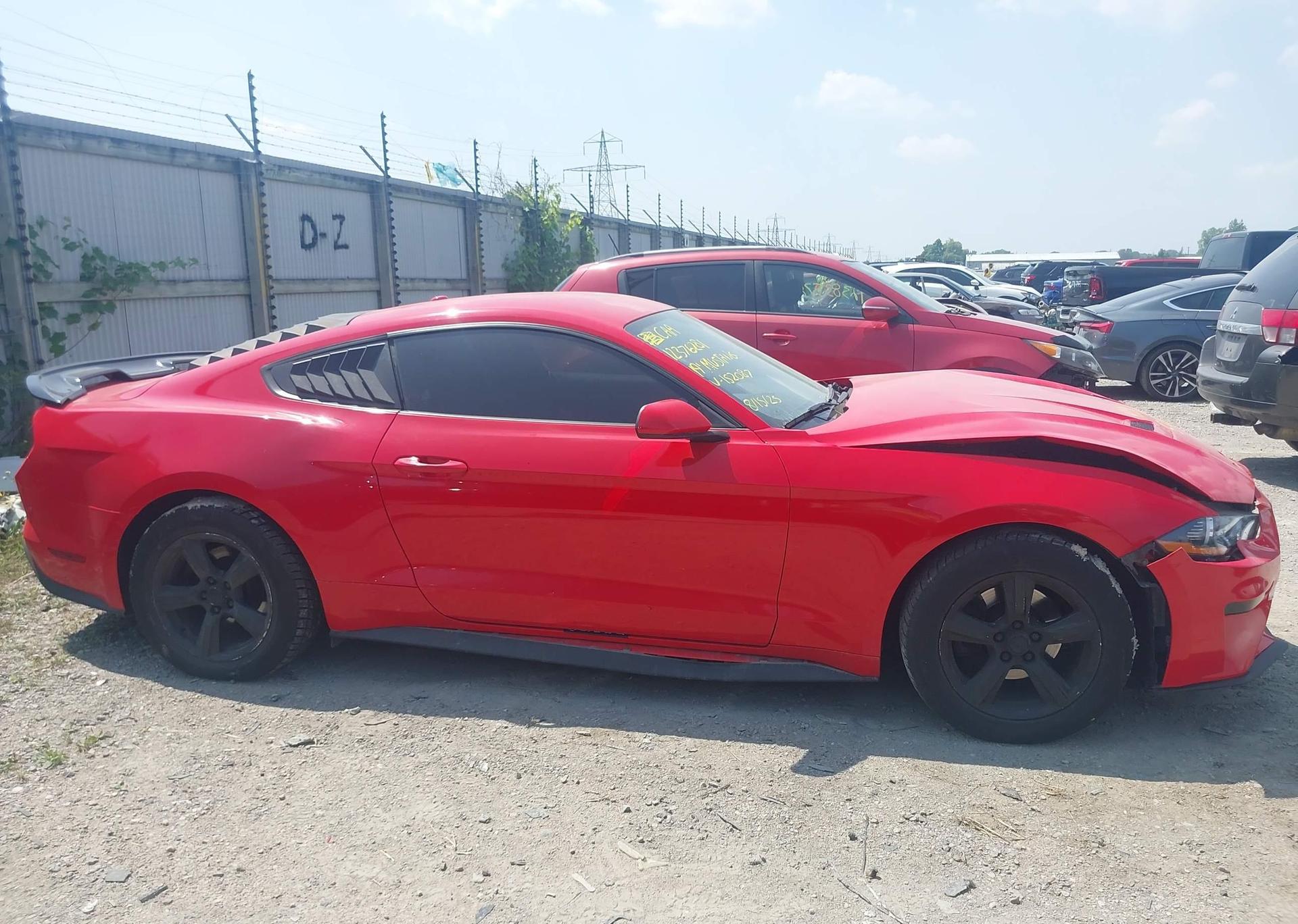 2019 FORD MUSTANG