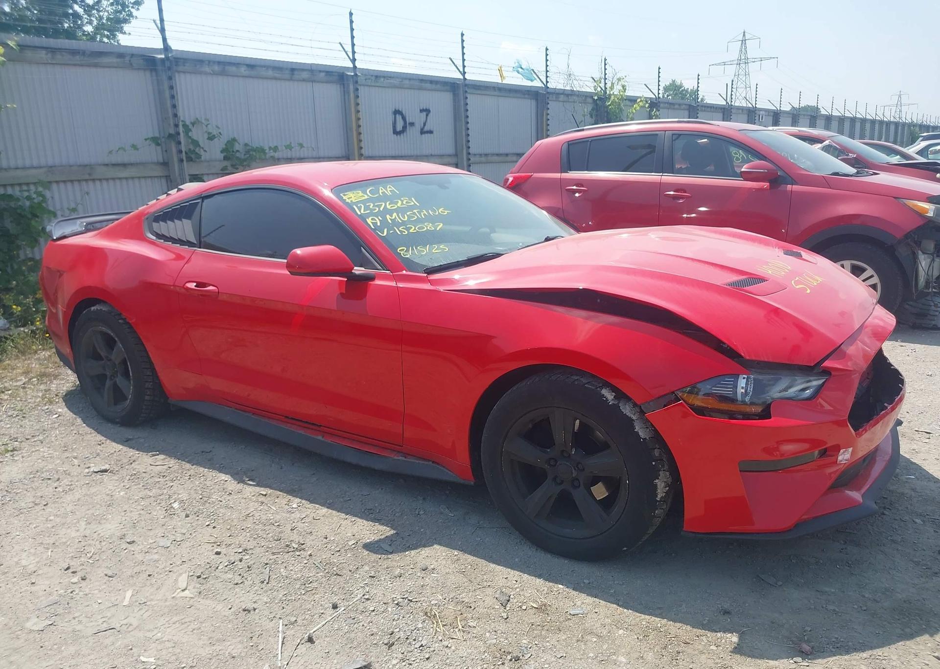 2019 FORD MUSTANG