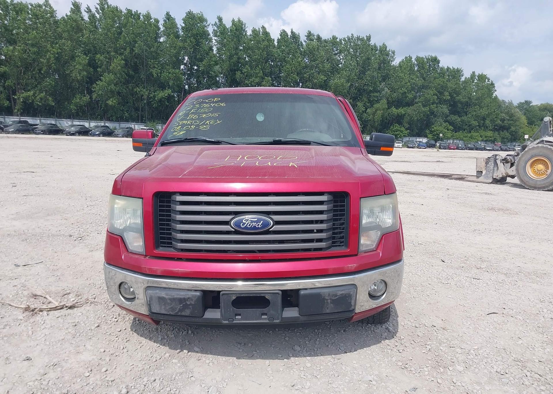 2010 FORD F-150 XLT