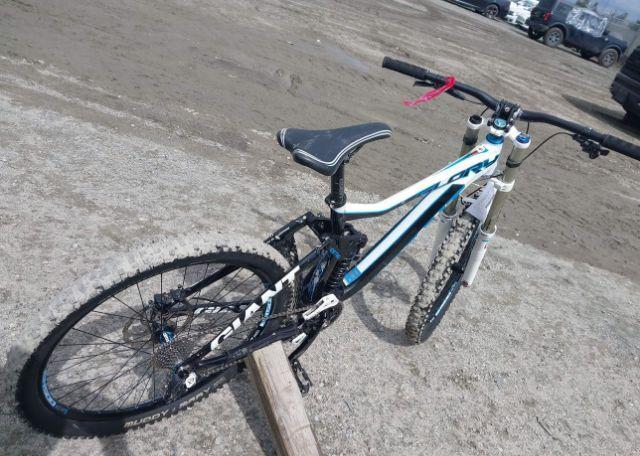 2013 GIANT GLORY BIKE