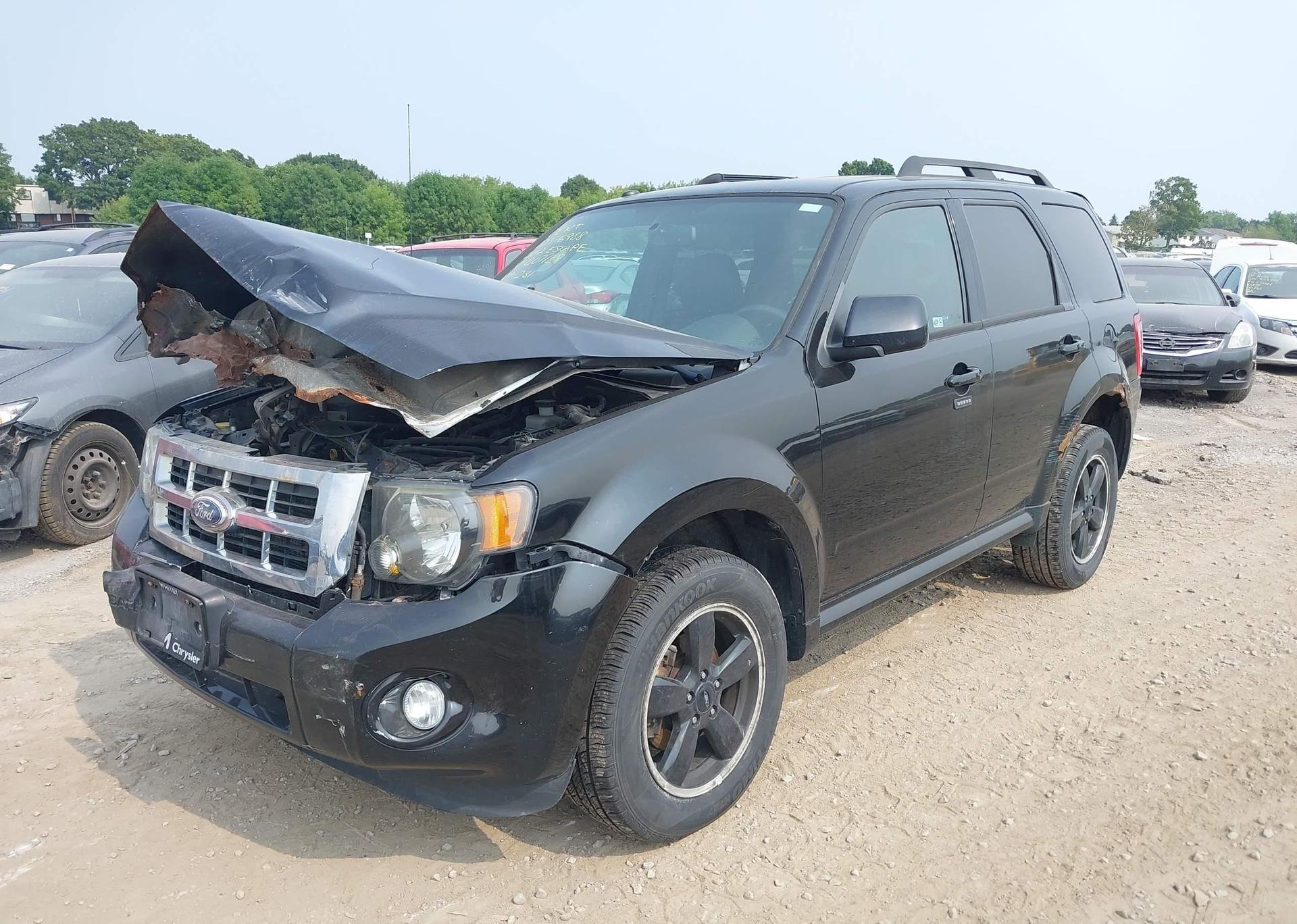 2012 FORD ESCAPE XLT