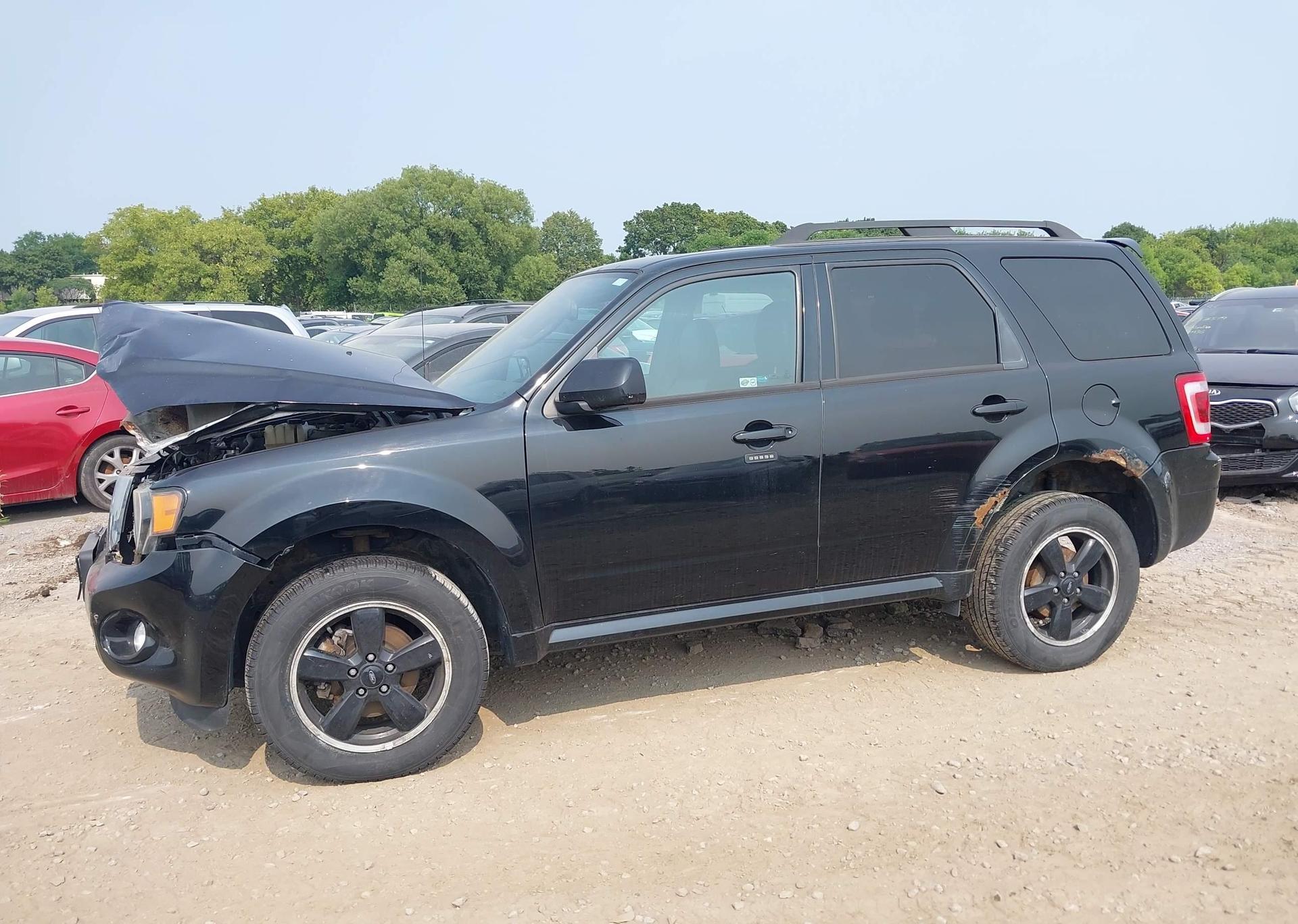 2012 FORD ESCAPE XLT