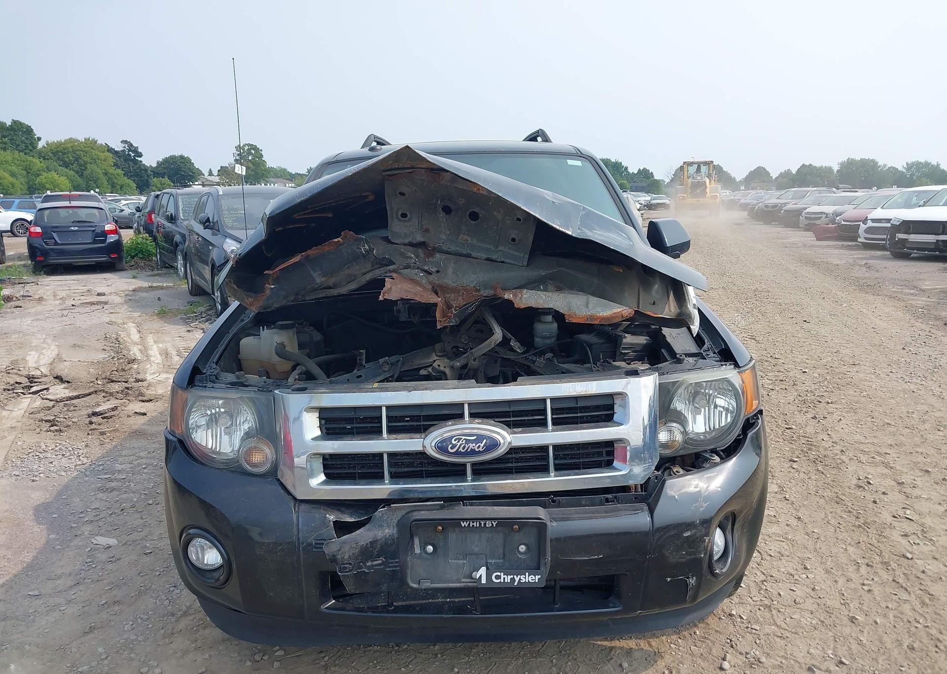 2012 FORD ESCAPE XLT
