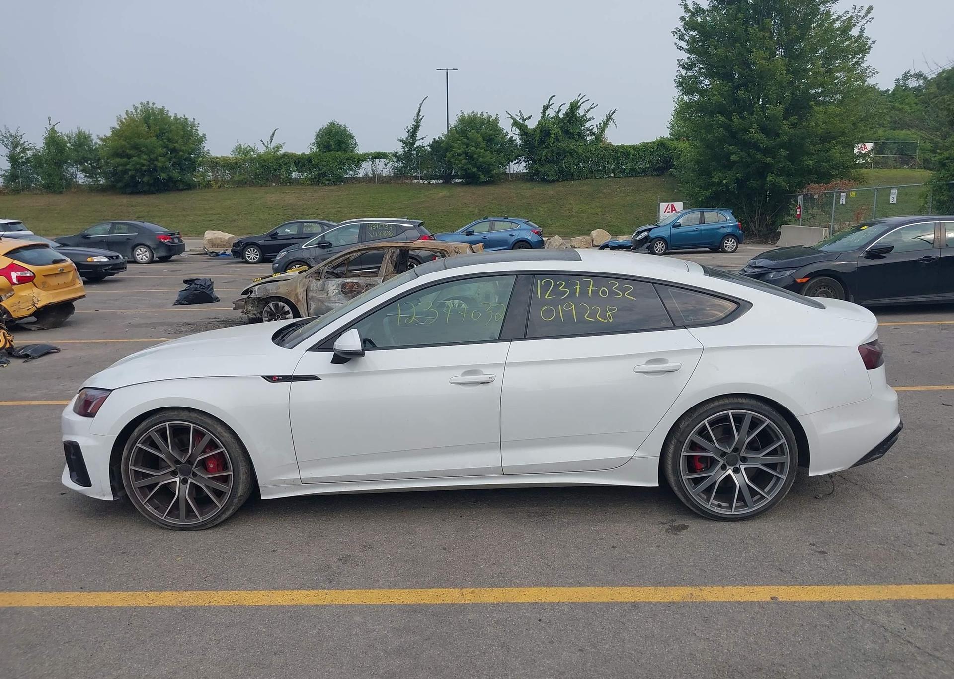 2021 AUDI S5 3.0T PROGRESSIV