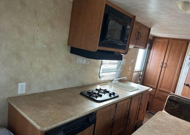 2012 FOREST RIVER PALOMINO