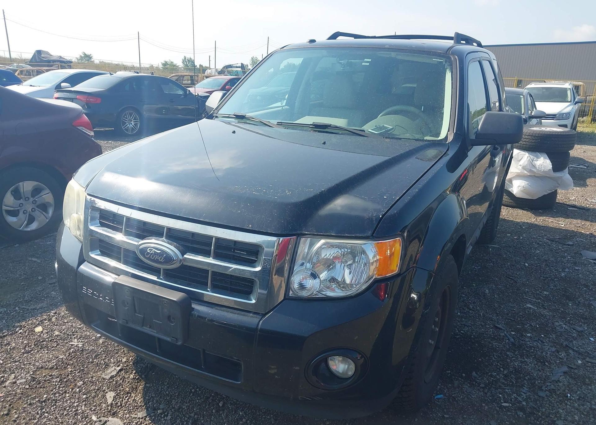 2010 FORD ESCAPE XLT