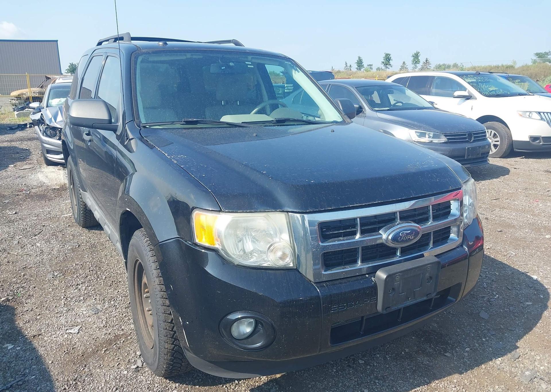 2010 FORD ESCAPE XLT