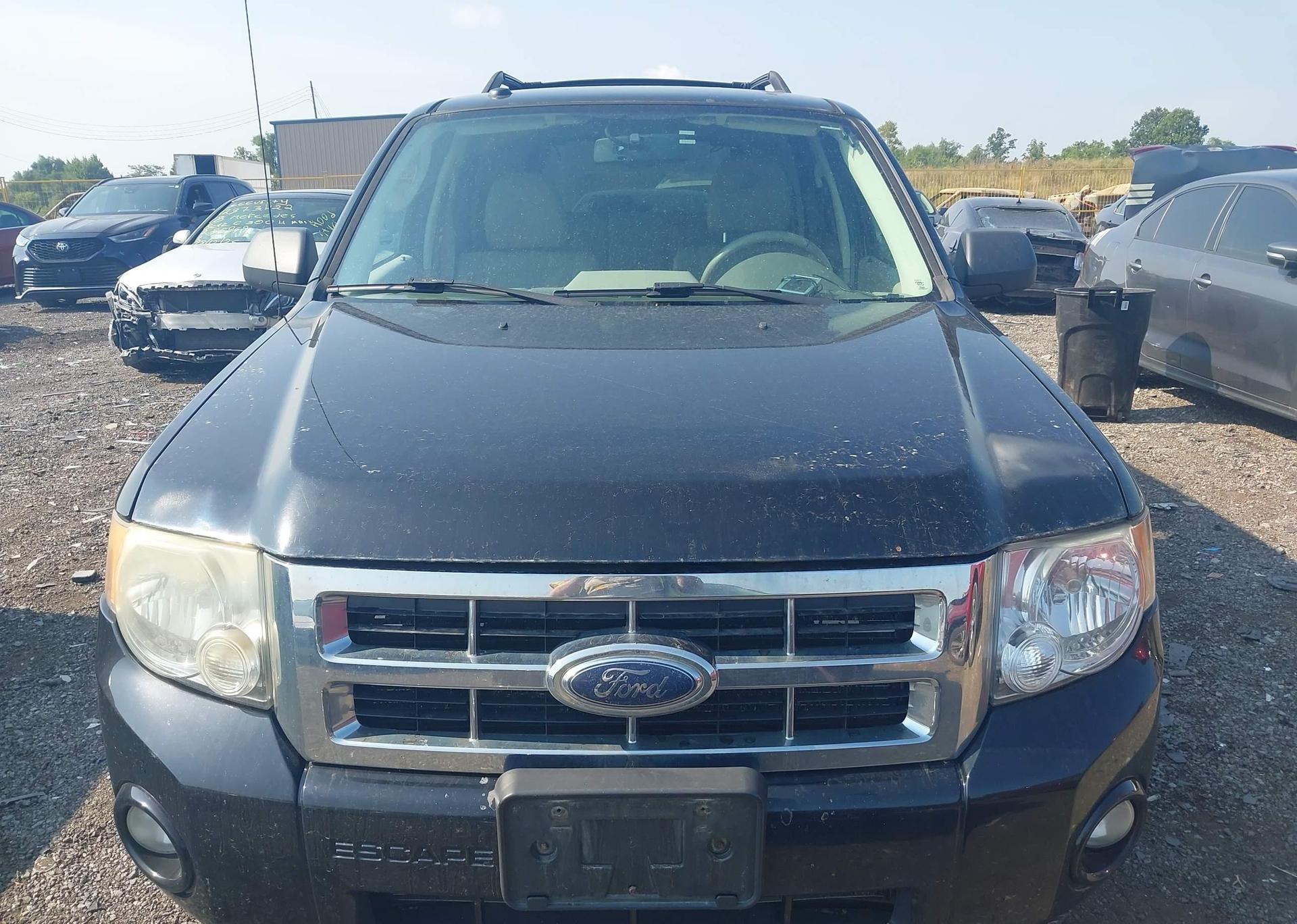 2010 FORD ESCAPE XLT